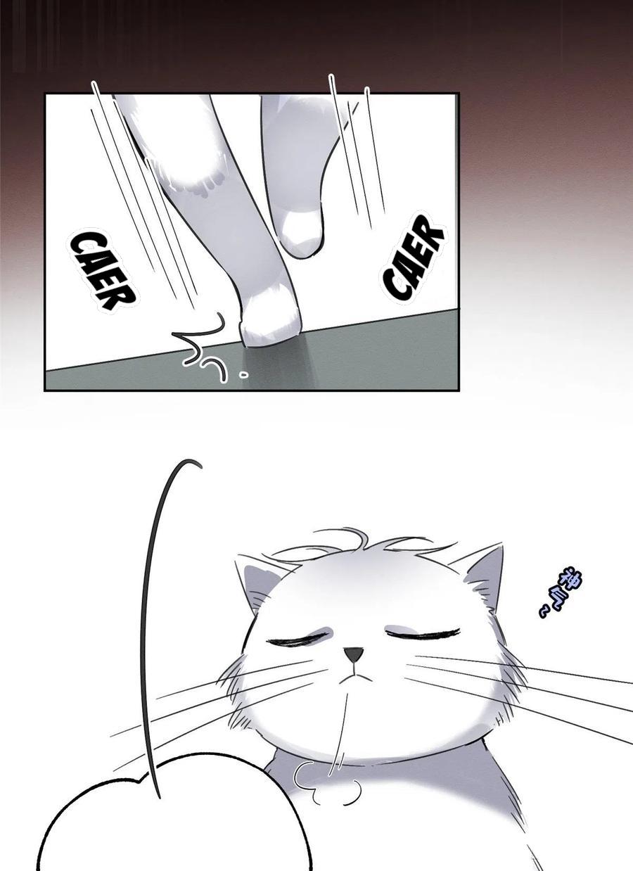 Tengo que trabajar duro para ser un gato hoy! - capitulo 2 manhwa