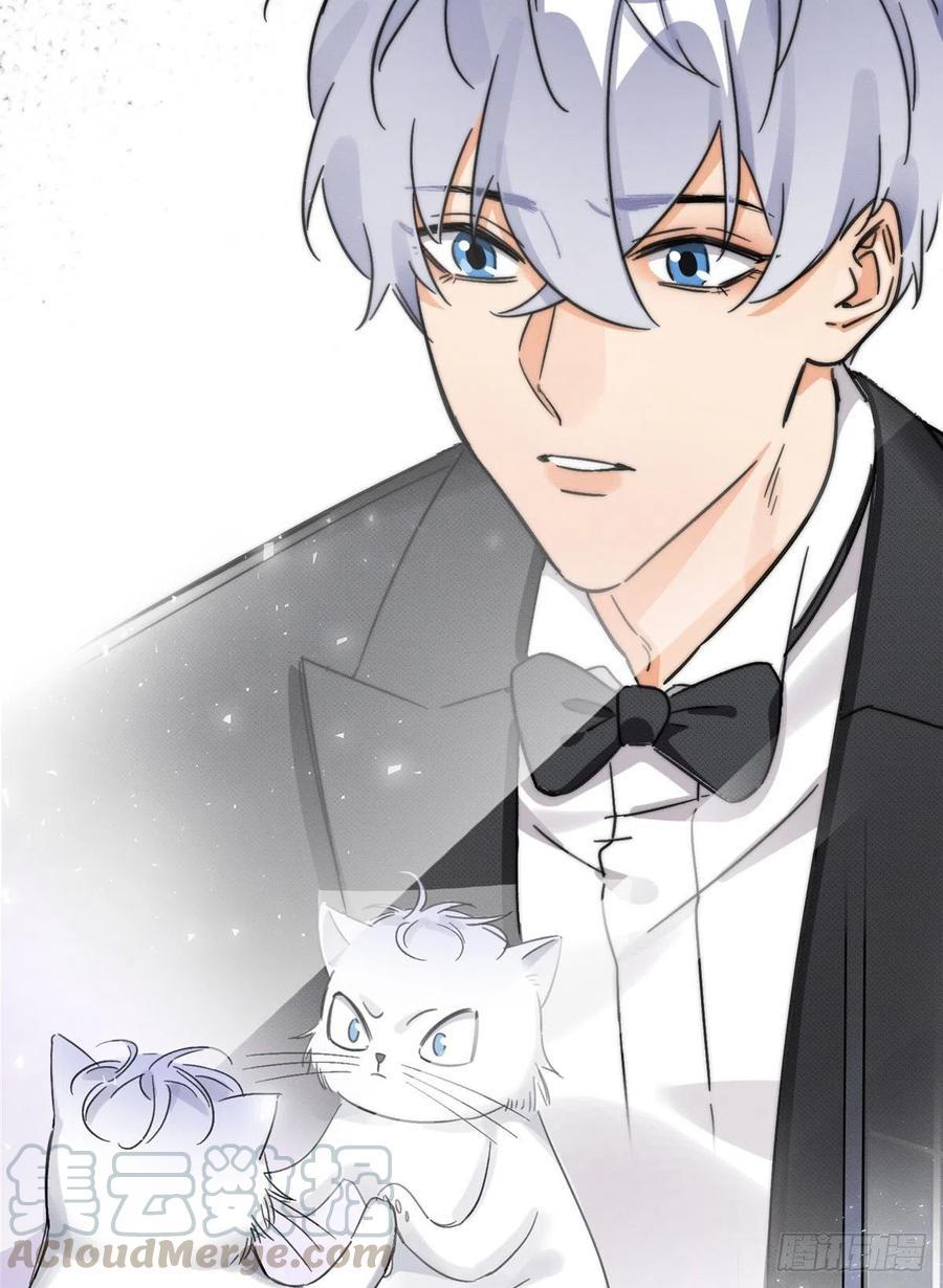 Tengo que trabajar duro para ser un gato hoy! - capitulo 2 manhwa
