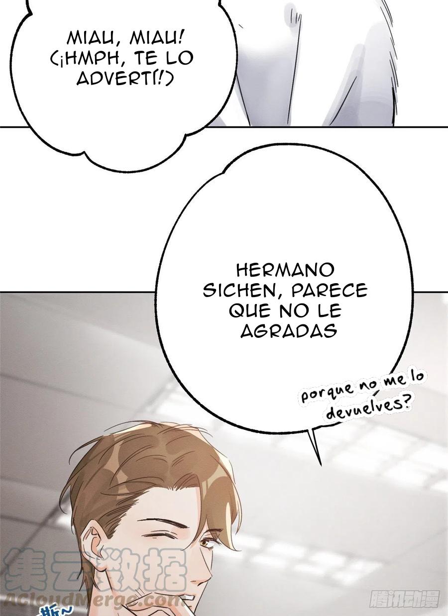 Tengo que trabajar duro para ser un gato hoy! - capitulo 2 manhwa