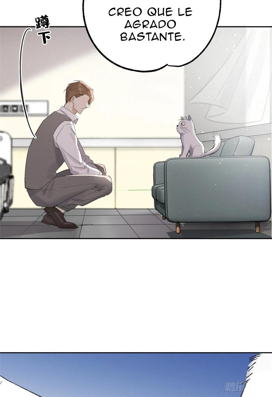 Tengo que trabajar duro para ser un gato hoy! - capitulo 2 manhwa