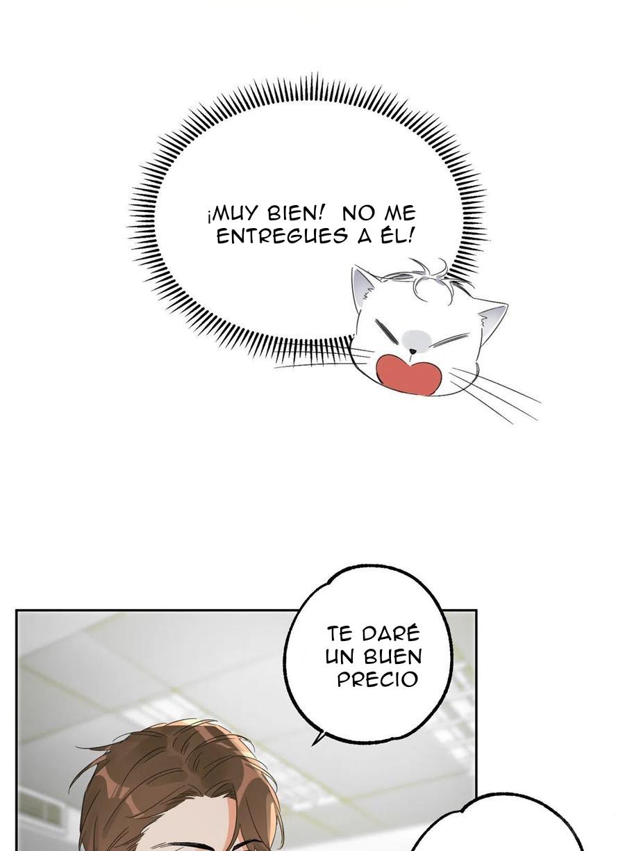 Tengo que trabajar duro para ser un gato hoy! - capitulo 2 manhwa