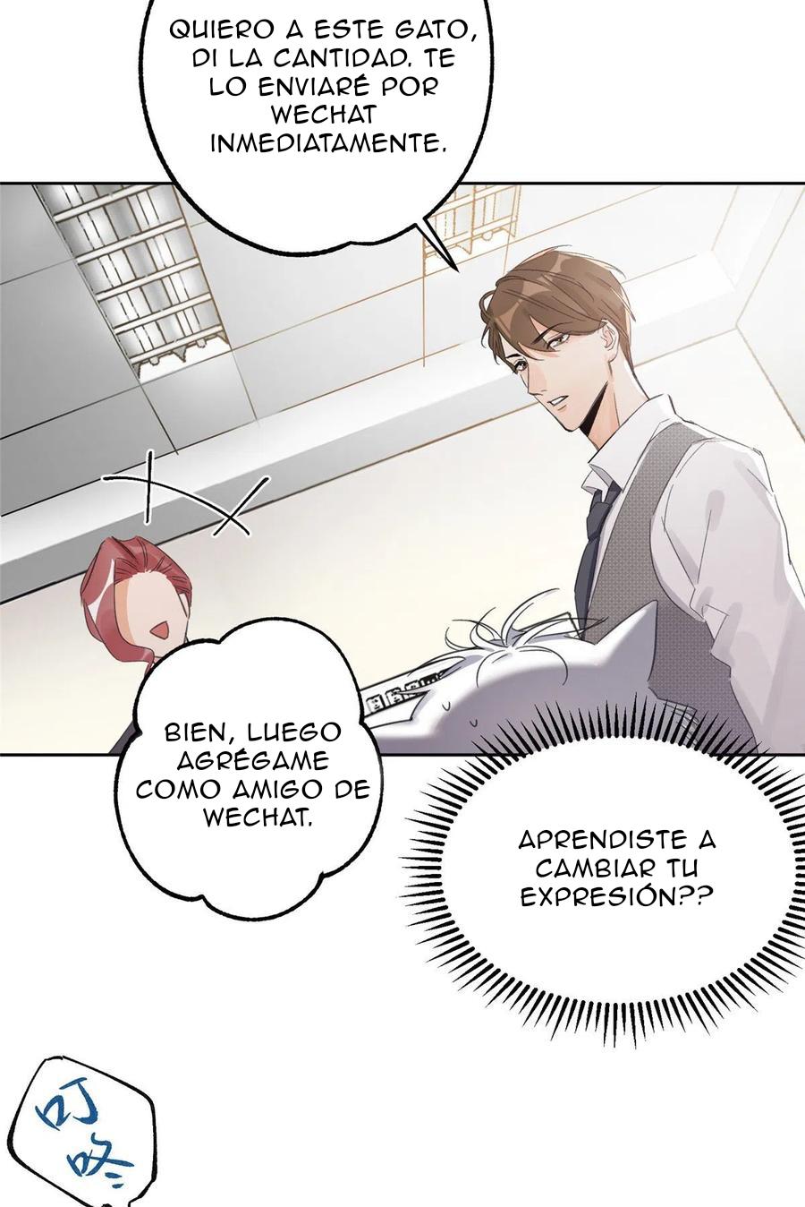 Tengo que trabajar duro para ser un gato hoy! - capitulo 2 manhwa