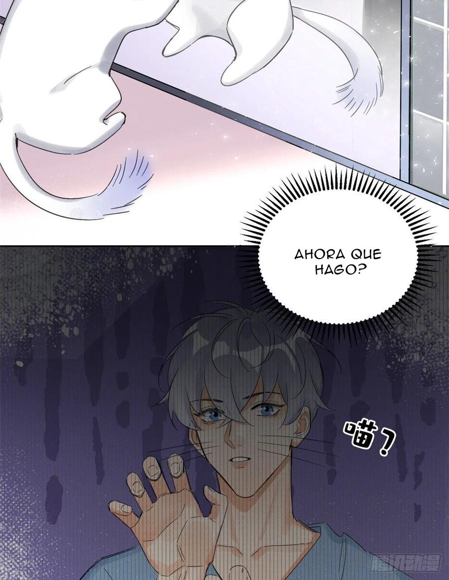 Tengo que trabajar duro para ser un gato hoy! - capitulo 2 manhwa
