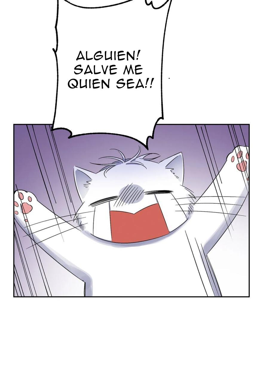 Tengo que trabajar duro para ser un gato hoy! - capitulo 2 manhwa