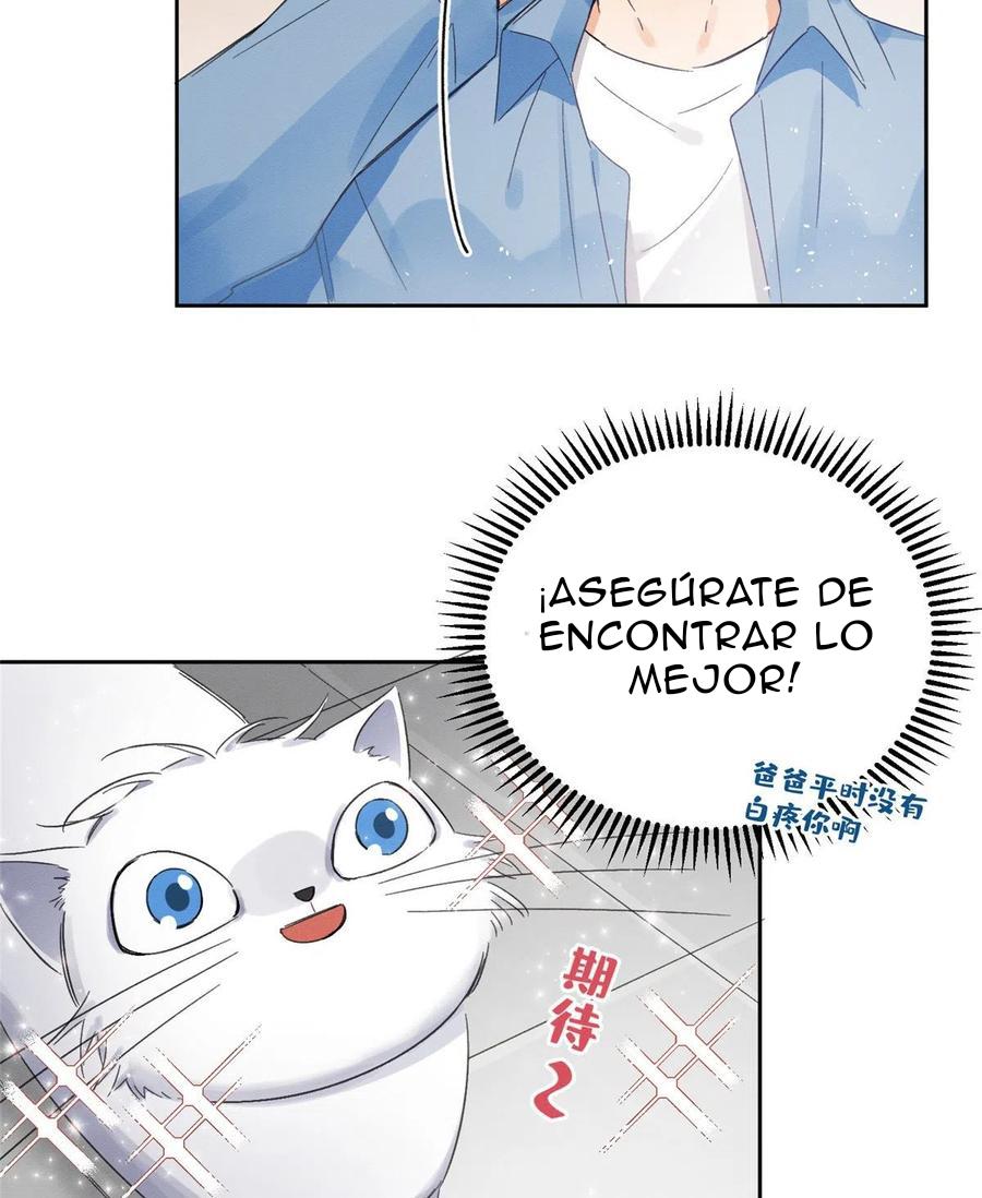 Tengo que trabajar duro para ser un gato hoy! - capitulo 2 manhwa