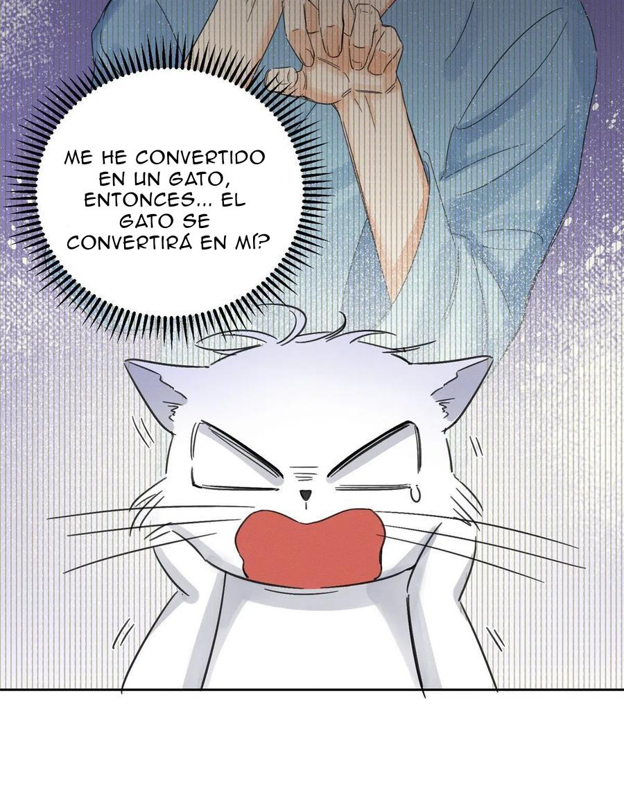 Tengo que trabajar duro para ser un gato hoy! - capitulo 2 manhwa