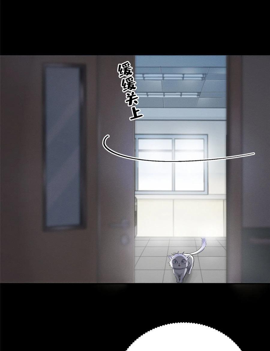 Tengo que trabajar duro para ser un gato hoy! - capitulo 2 manhwa