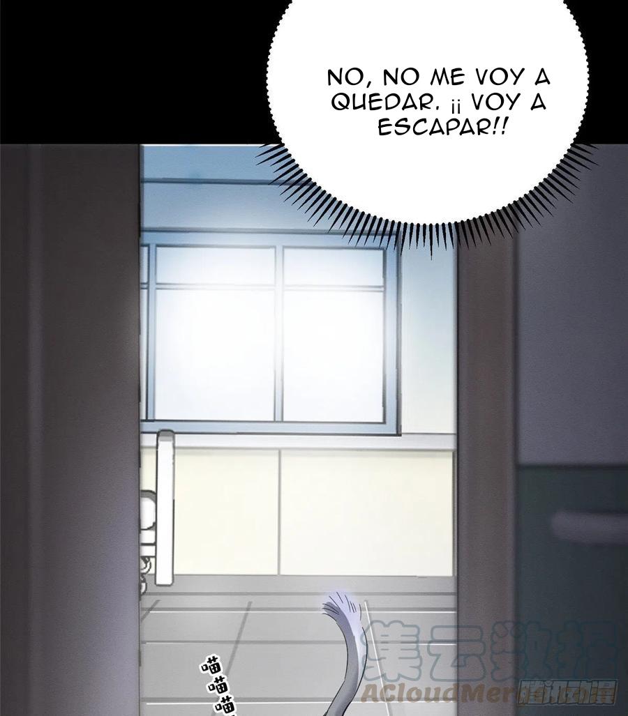 Tengo que trabajar duro para ser un gato hoy! - capitulo 2 manhwa