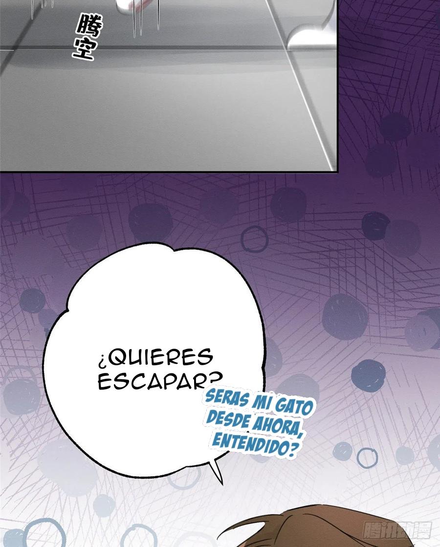 Tengo que trabajar duro para ser un gato hoy! - capitulo 2 manhwa