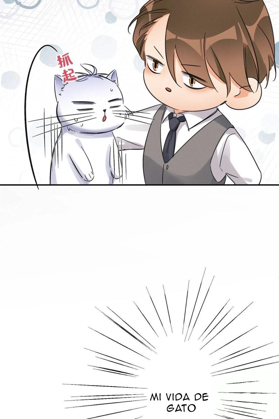 Tengo que trabajar duro para ser un gato hoy! - capitulo 2 manhwa