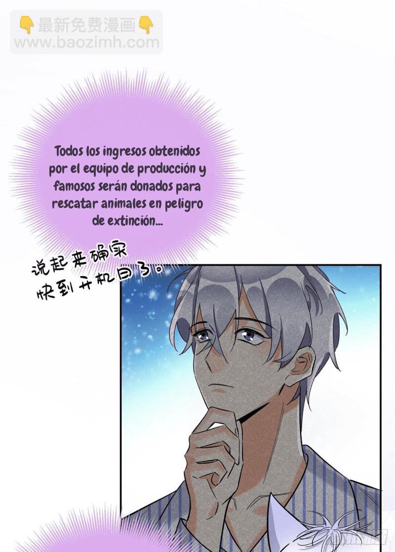 Tengo que trabajar duro para ser un gato hoy! - capitulo 31 manhwa