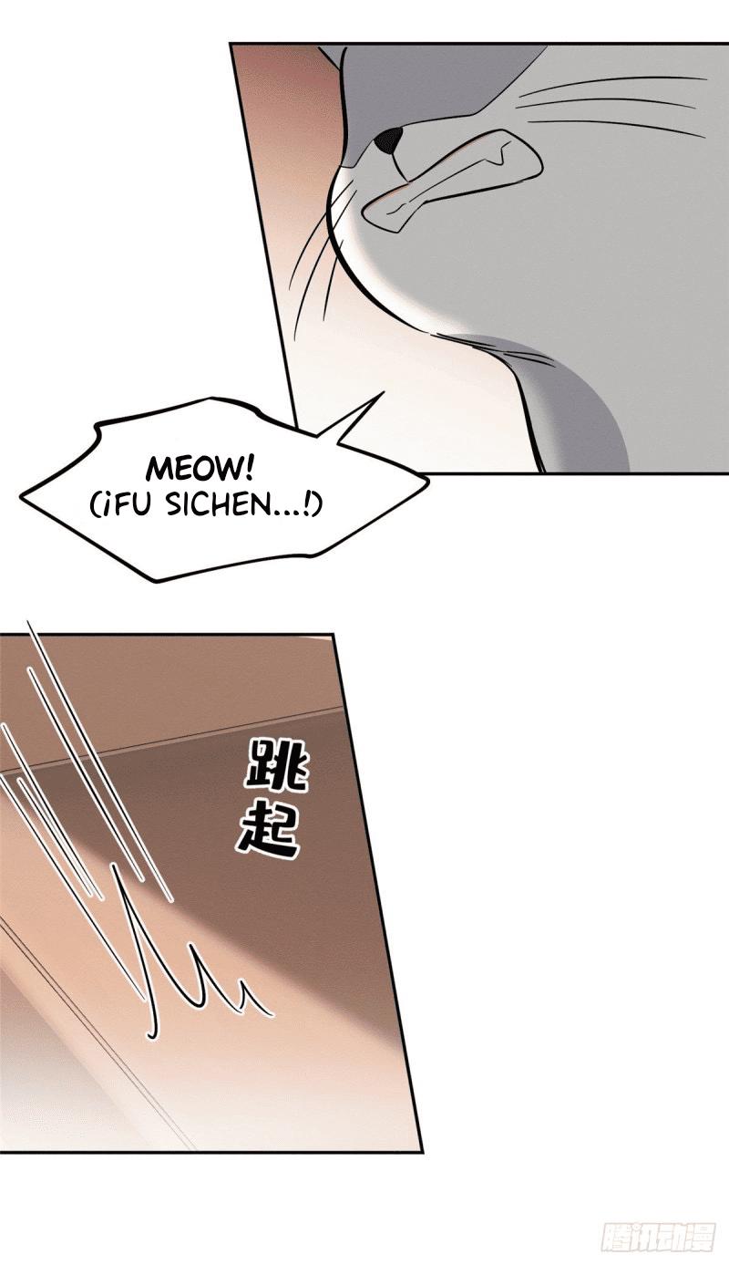 Tengo que trabajar duro para ser un gato hoy! - capitulo 31 manhwa