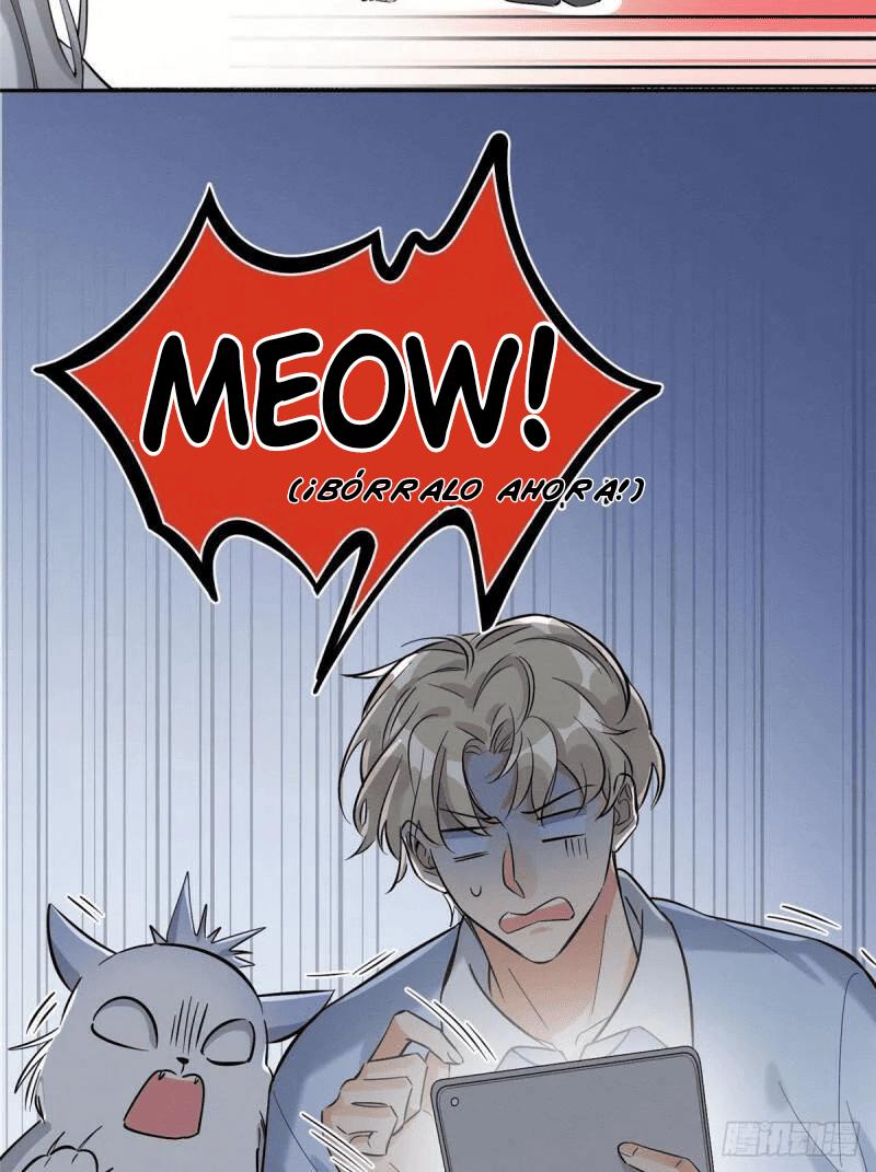 Tengo que trabajar duro para ser un gato hoy! - capitulo 31 manhwa