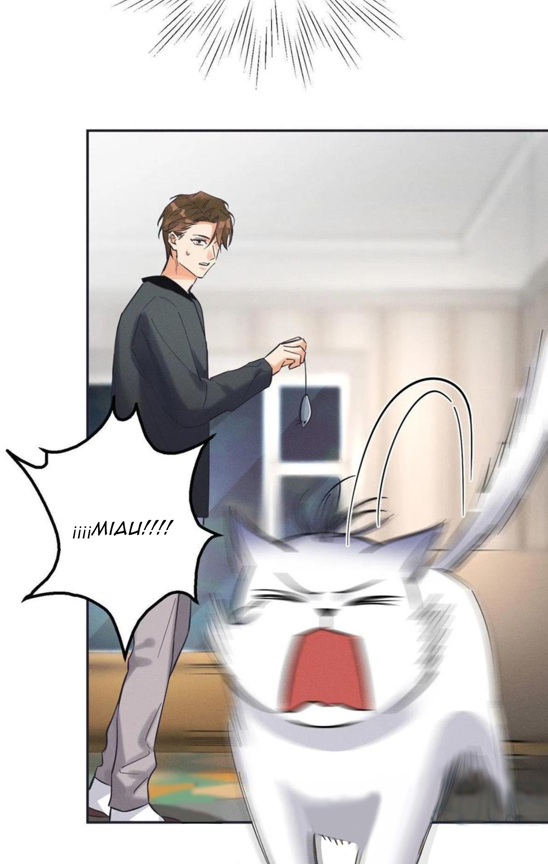 Tengo que trabajar duro para ser un gato hoy! - capitulo 19 manhwa