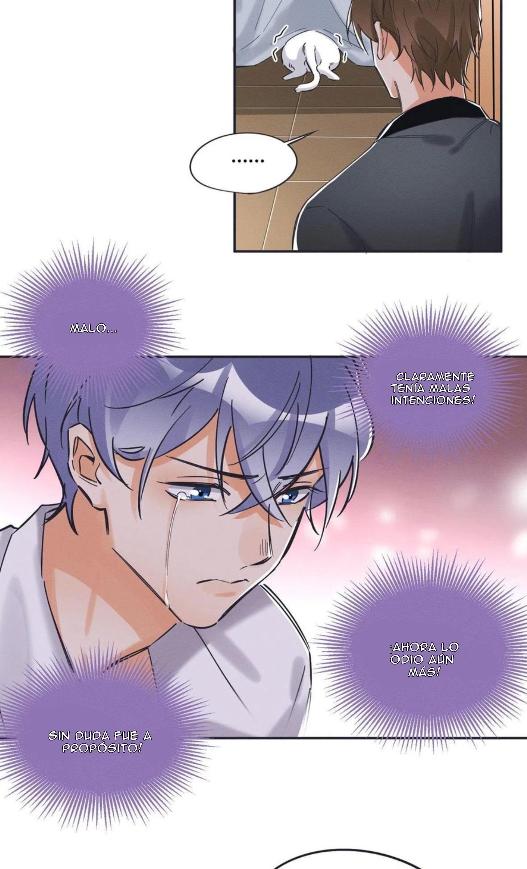 Tengo que trabajar duro para ser un gato hoy! - capitulo 19 manhwa