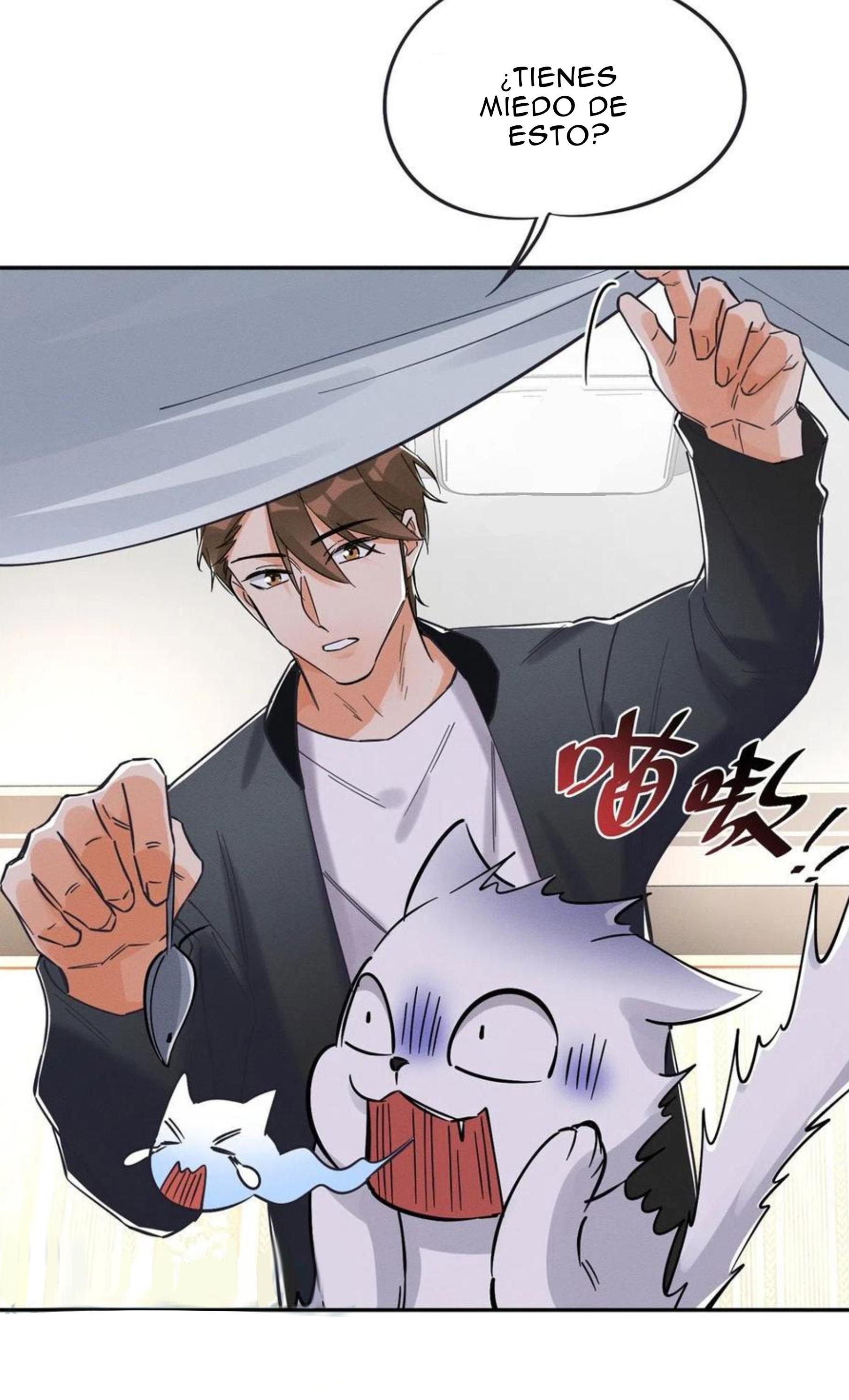 Tengo que trabajar duro para ser un gato hoy! - capitulo 19 manhwa