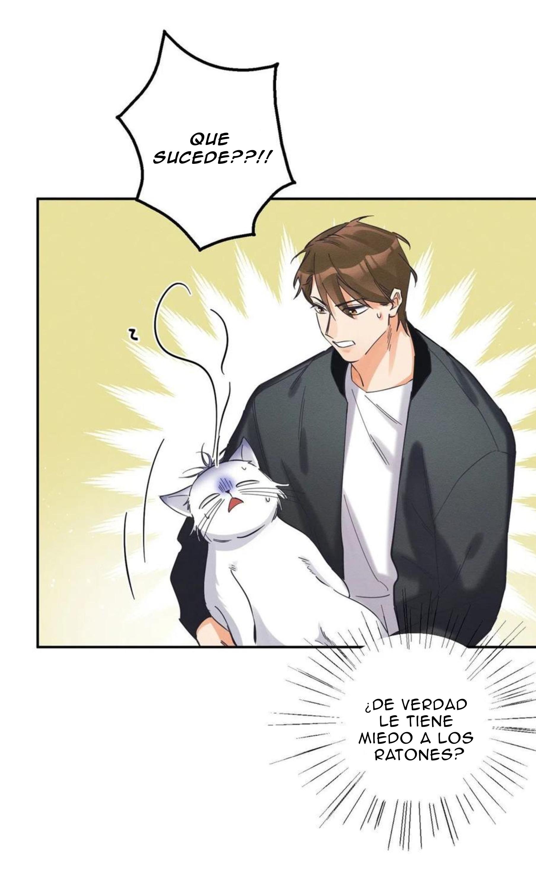 Tengo que trabajar duro para ser un gato hoy! - capitulo 19 manhwa