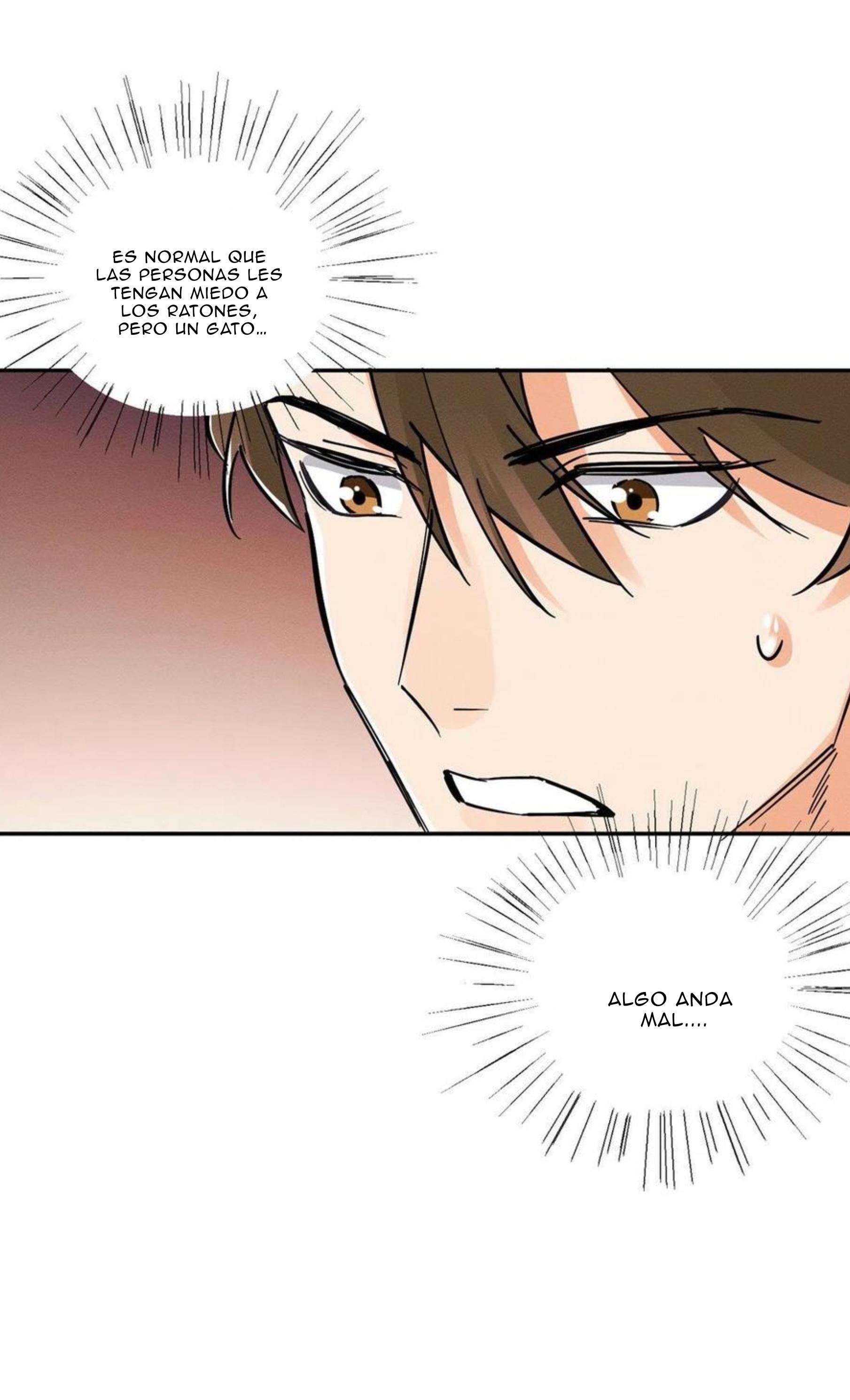 Tengo que trabajar duro para ser un gato hoy! - capitulo 19 manhwa