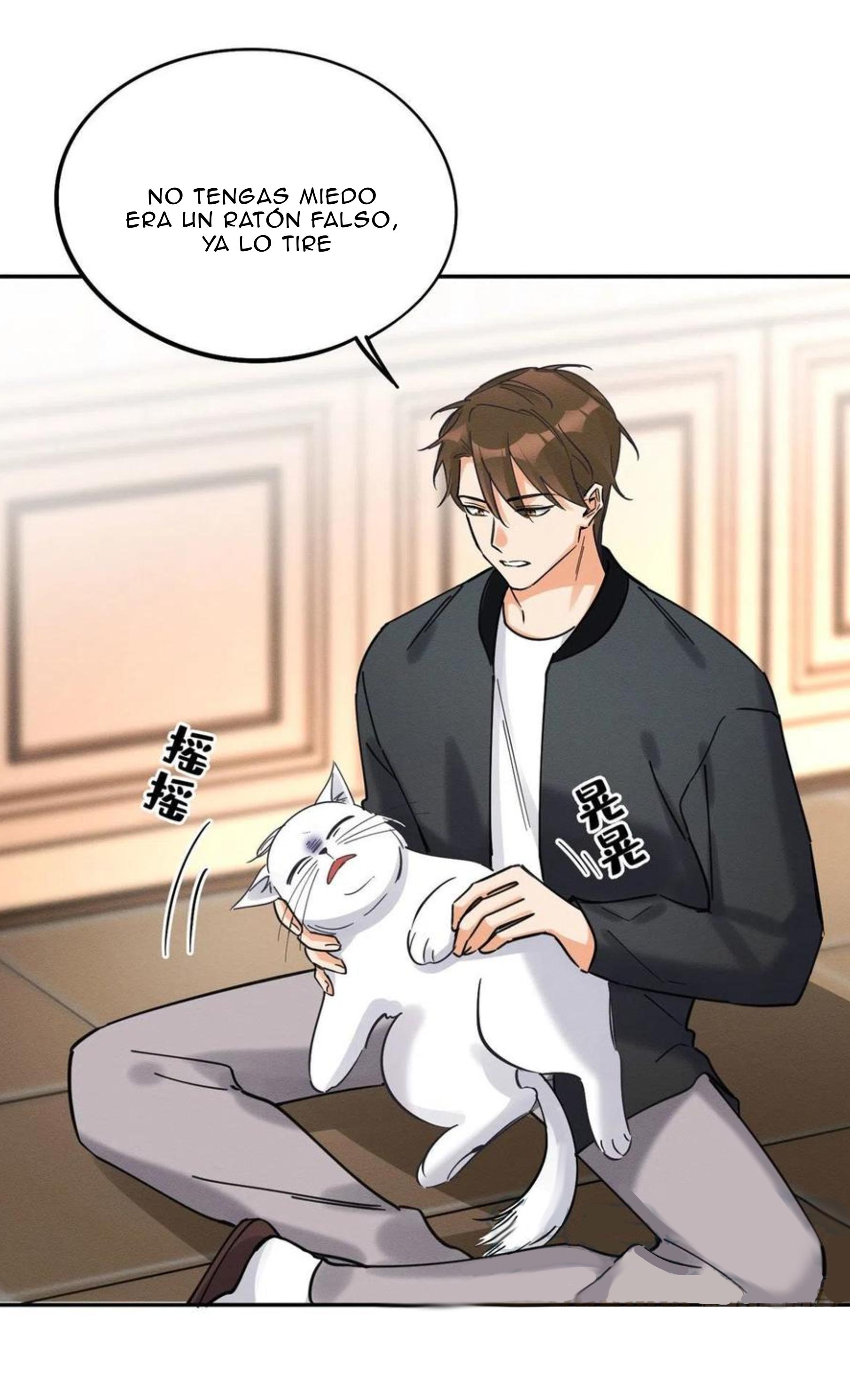 Tengo que trabajar duro para ser un gato hoy! - capitulo 19 manhwa