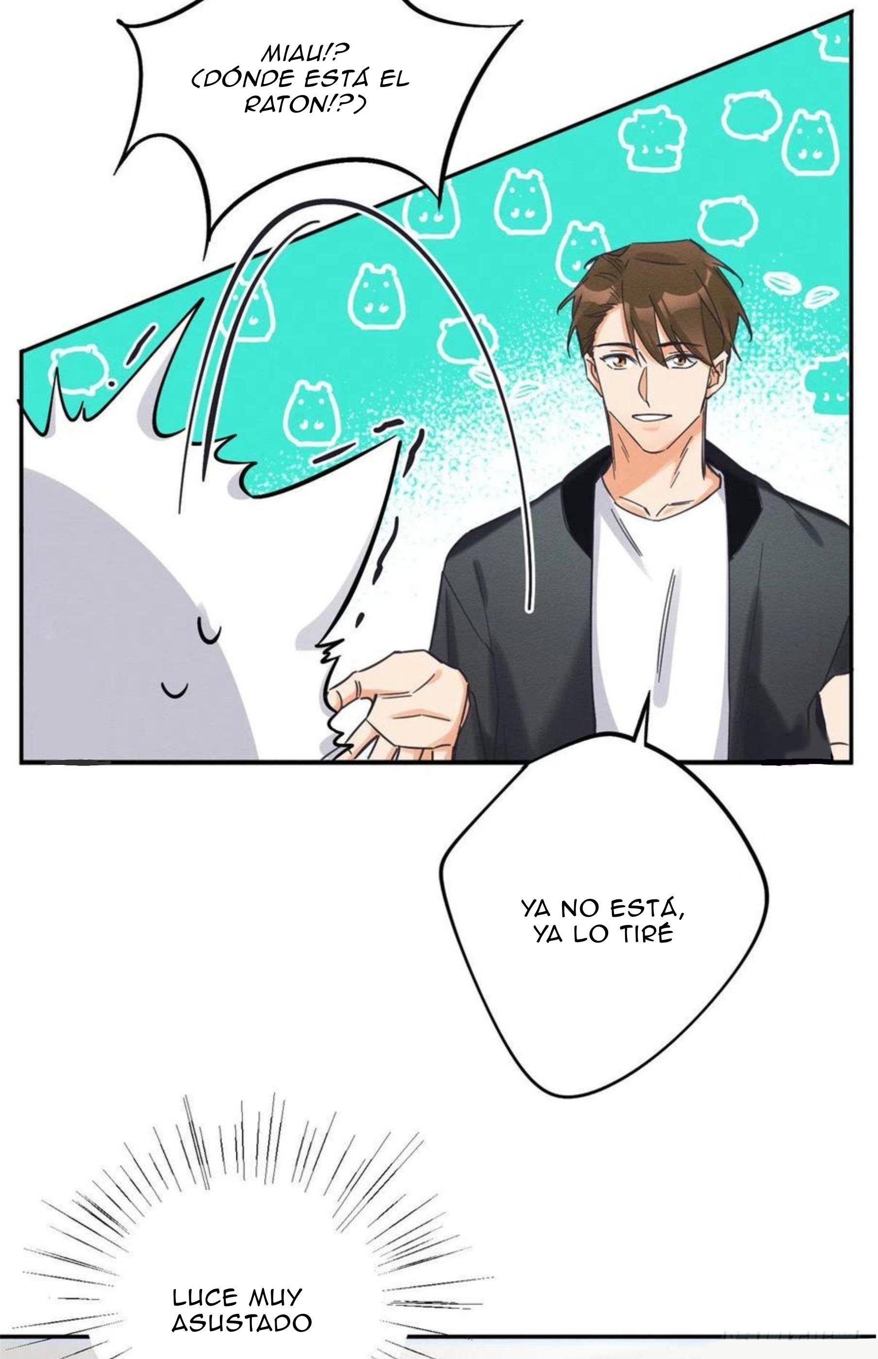 Tengo que trabajar duro para ser un gato hoy! - capitulo 19 manhwa