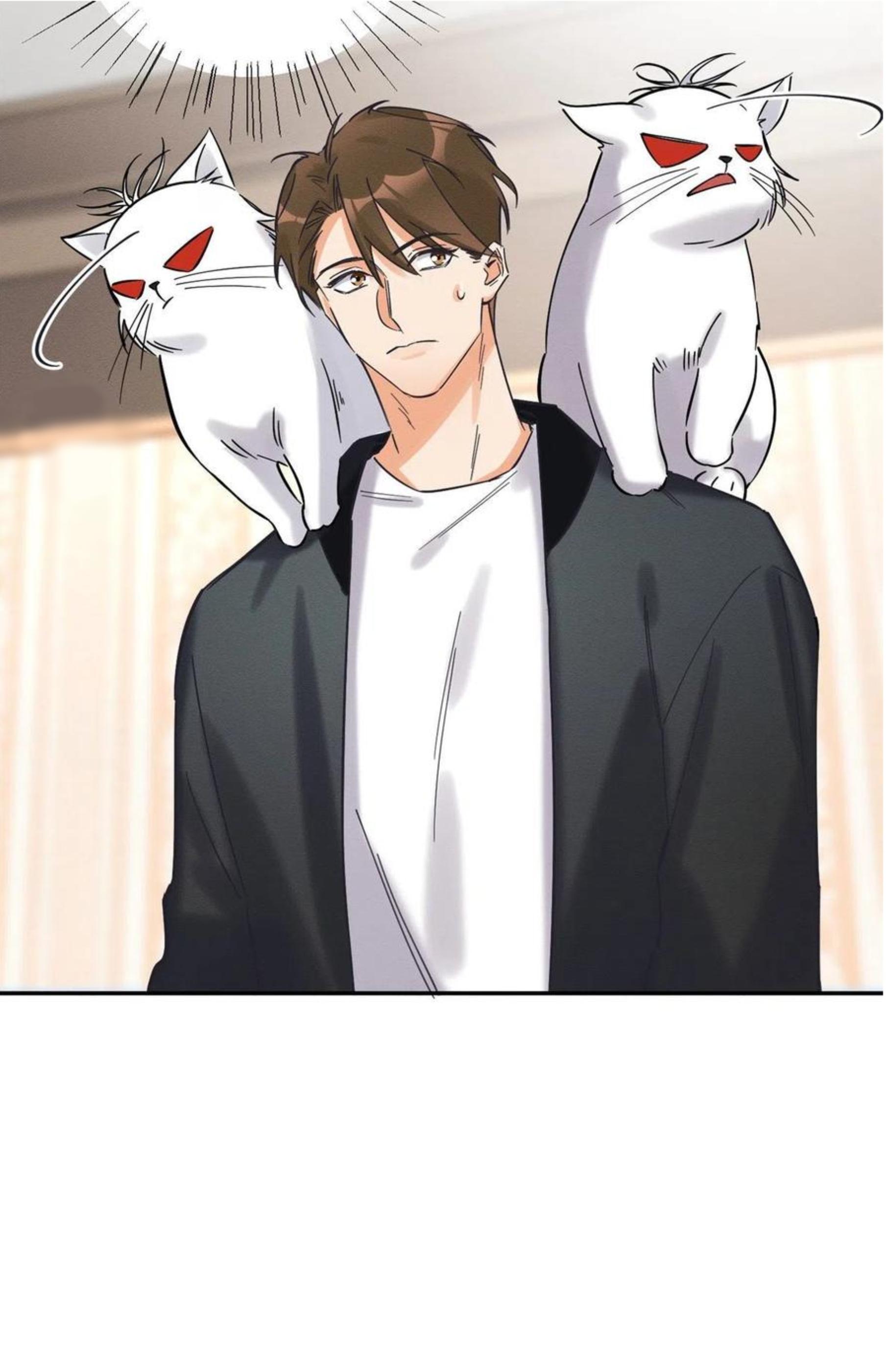 Tengo que trabajar duro para ser un gato hoy! - capitulo 19 manhwa
