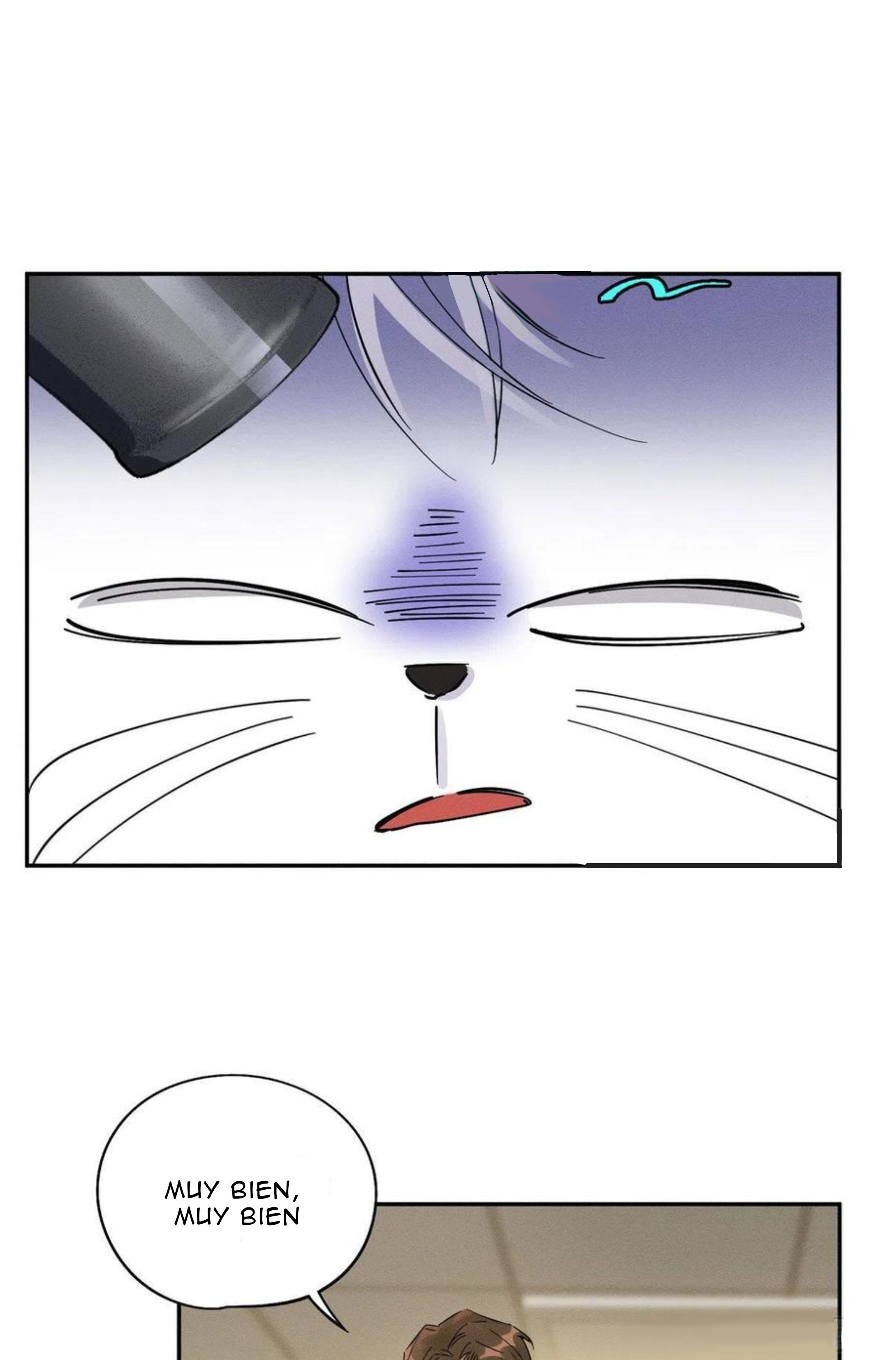 Tengo que trabajar duro para ser un gato hoy! - capitulo 19 manhwa