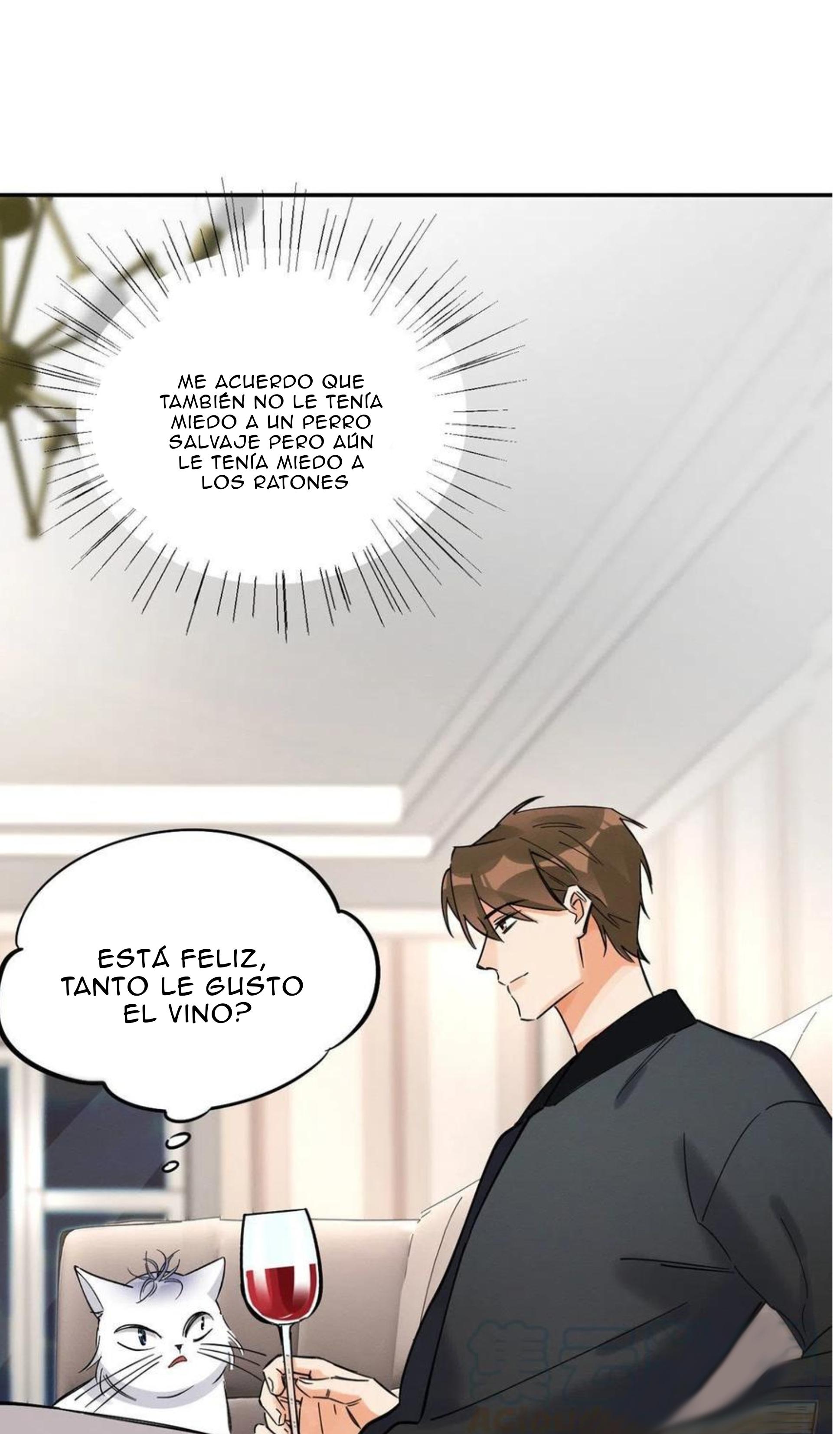 Tengo que trabajar duro para ser un gato hoy! - capitulo 19 manhwa