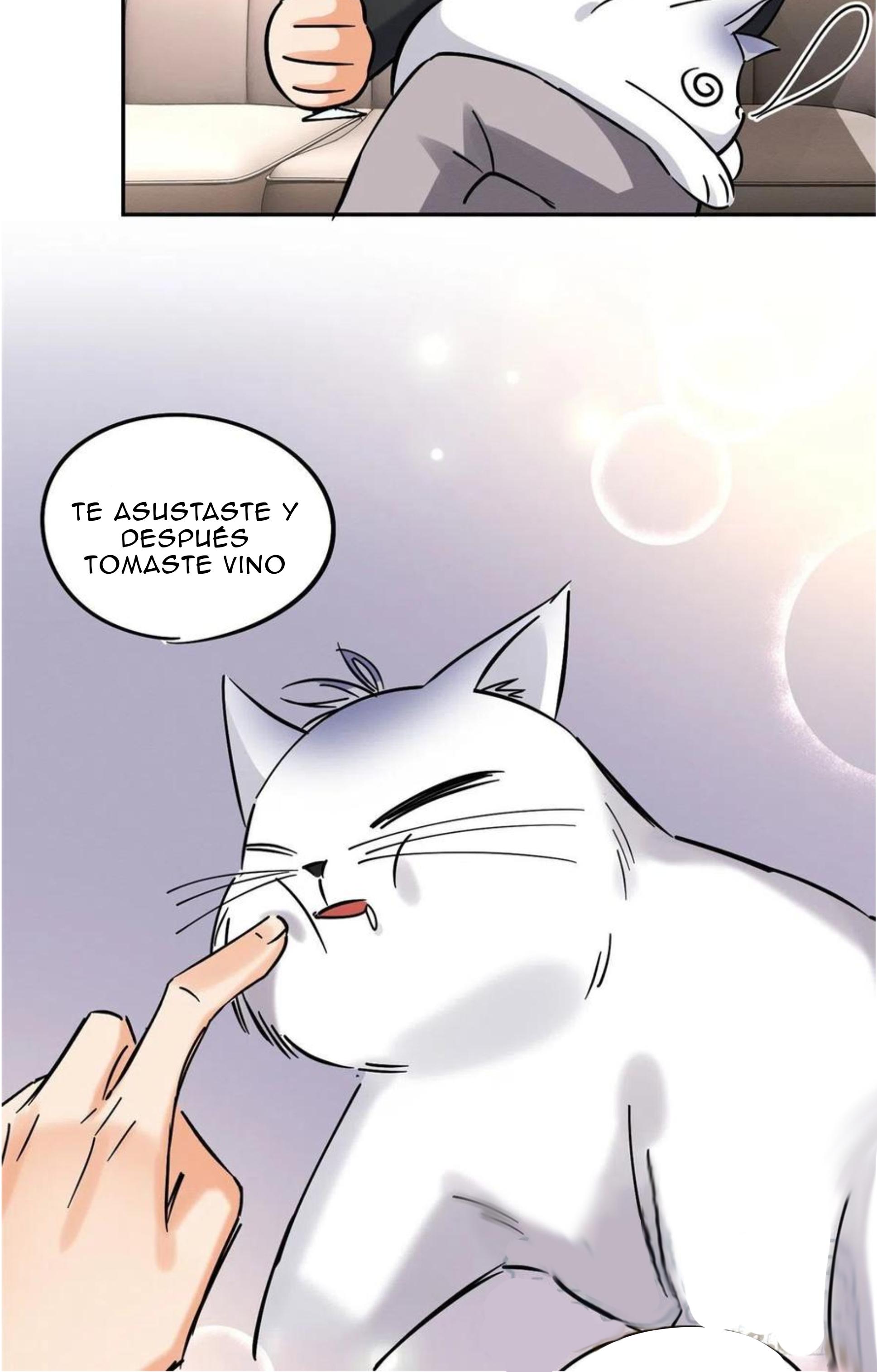 Tengo que trabajar duro para ser un gato hoy! - capitulo 19 manhwa