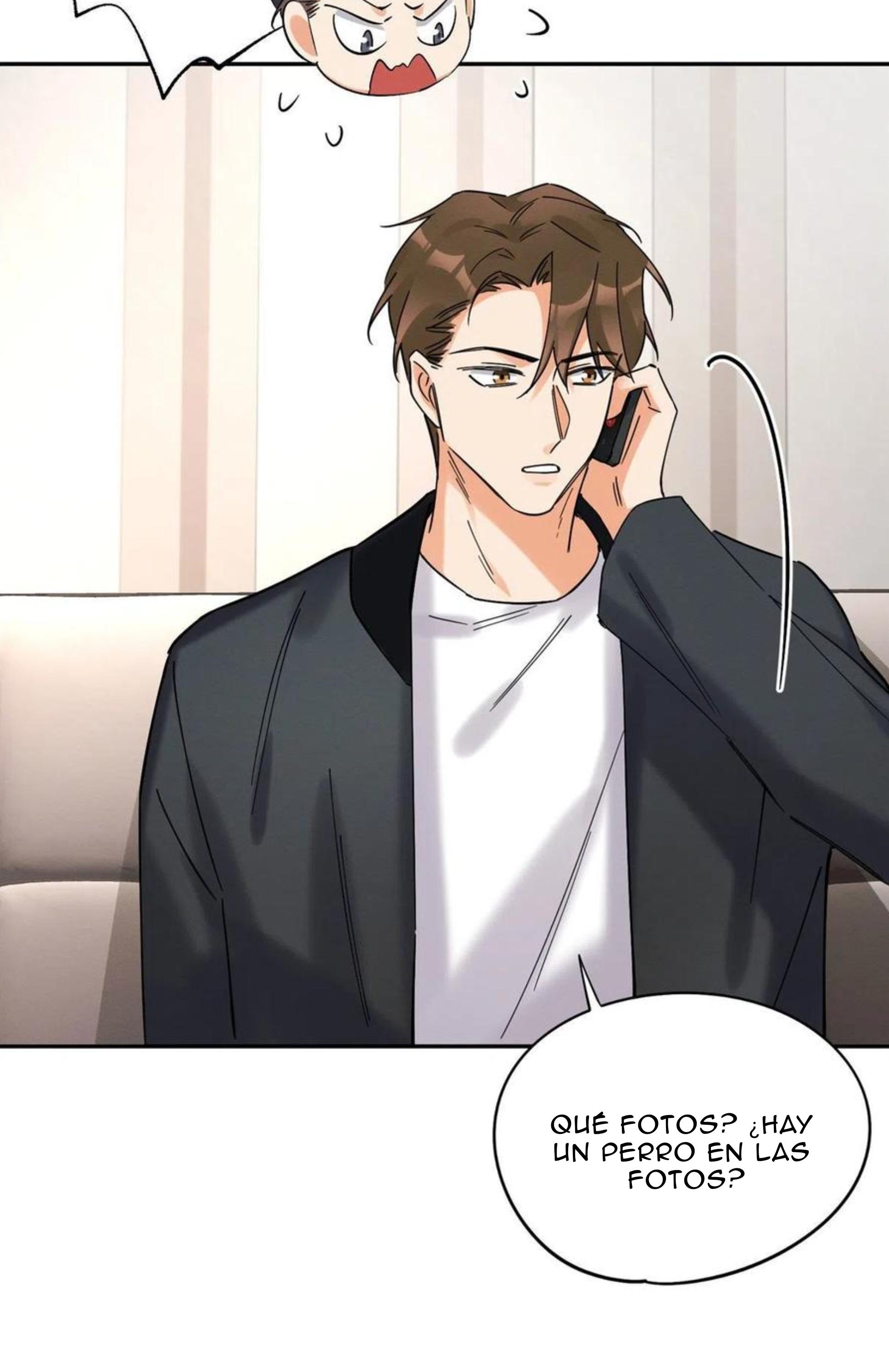 Tengo que trabajar duro para ser un gato hoy! - capitulo 19 manhwa