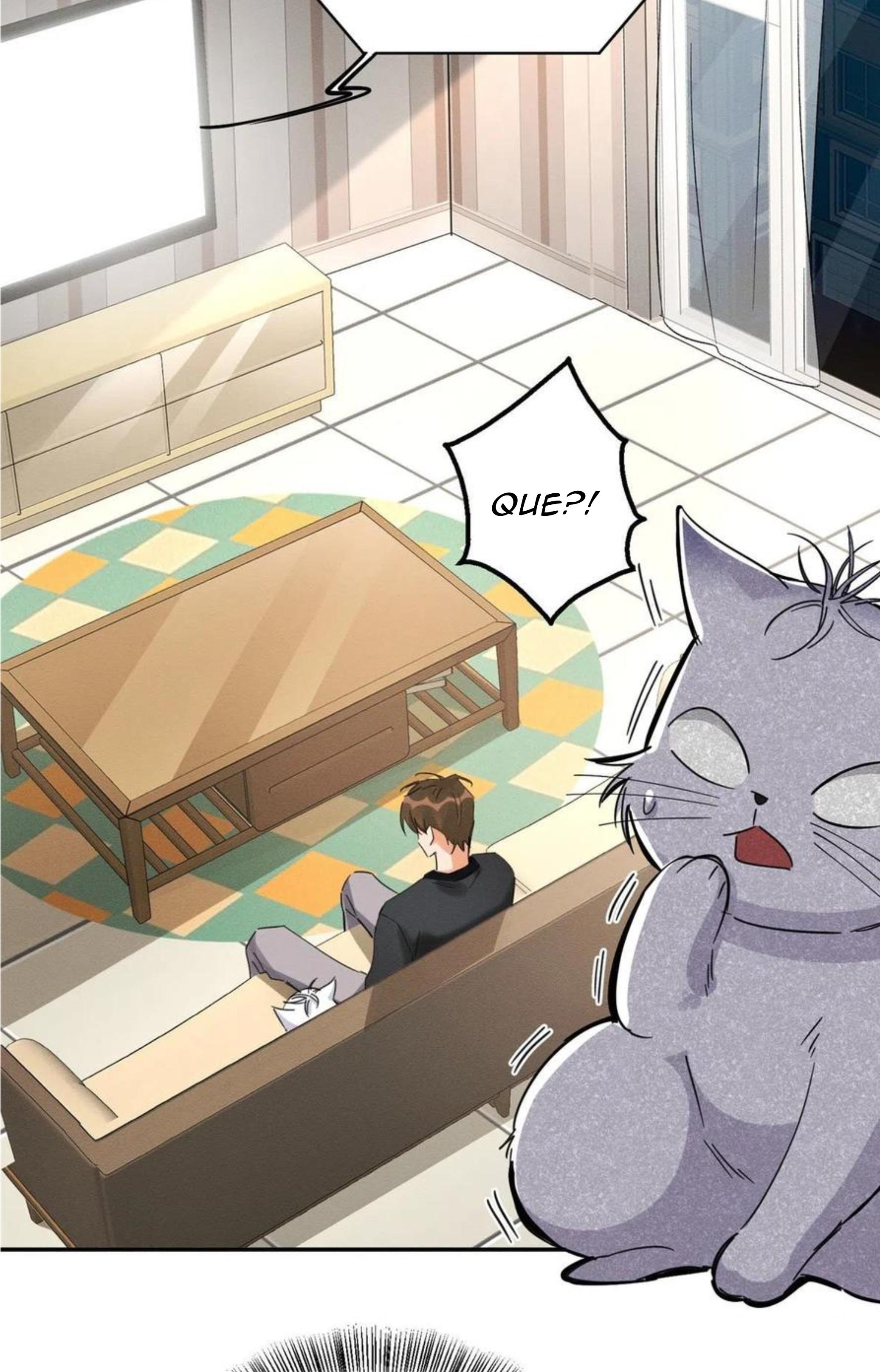 Tengo que trabajar duro para ser un gato hoy! - capitulo 19 manhwa