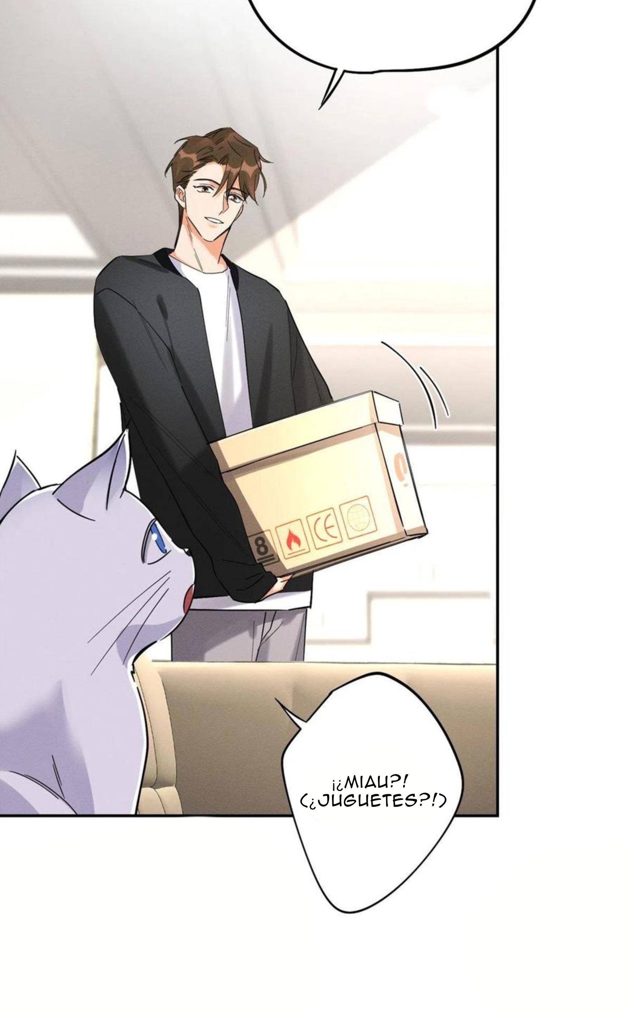 Tengo que trabajar duro para ser un gato hoy! - capitulo 19 manhwa