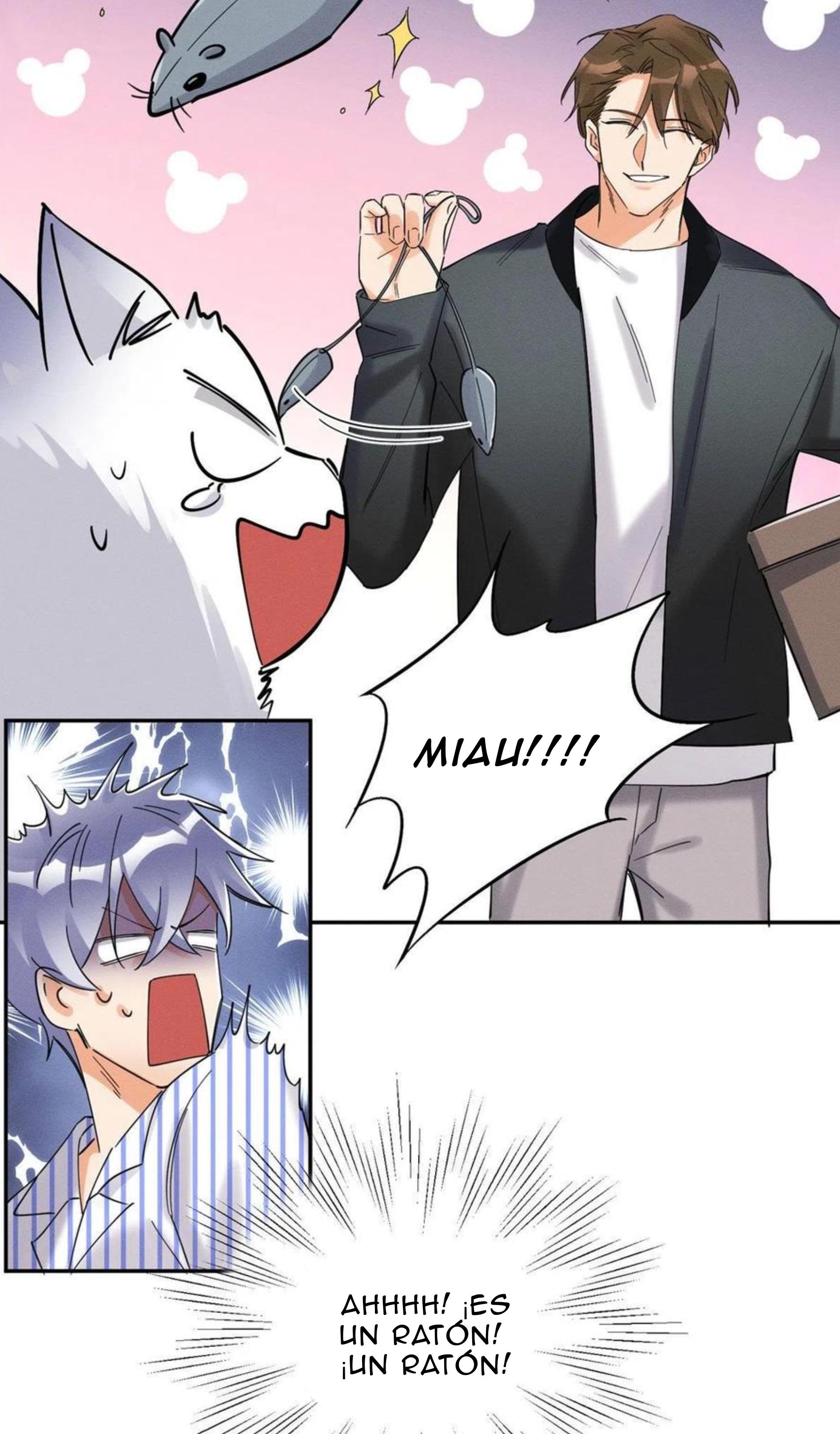 Tengo que trabajar duro para ser un gato hoy! - capitulo 19 manhwa