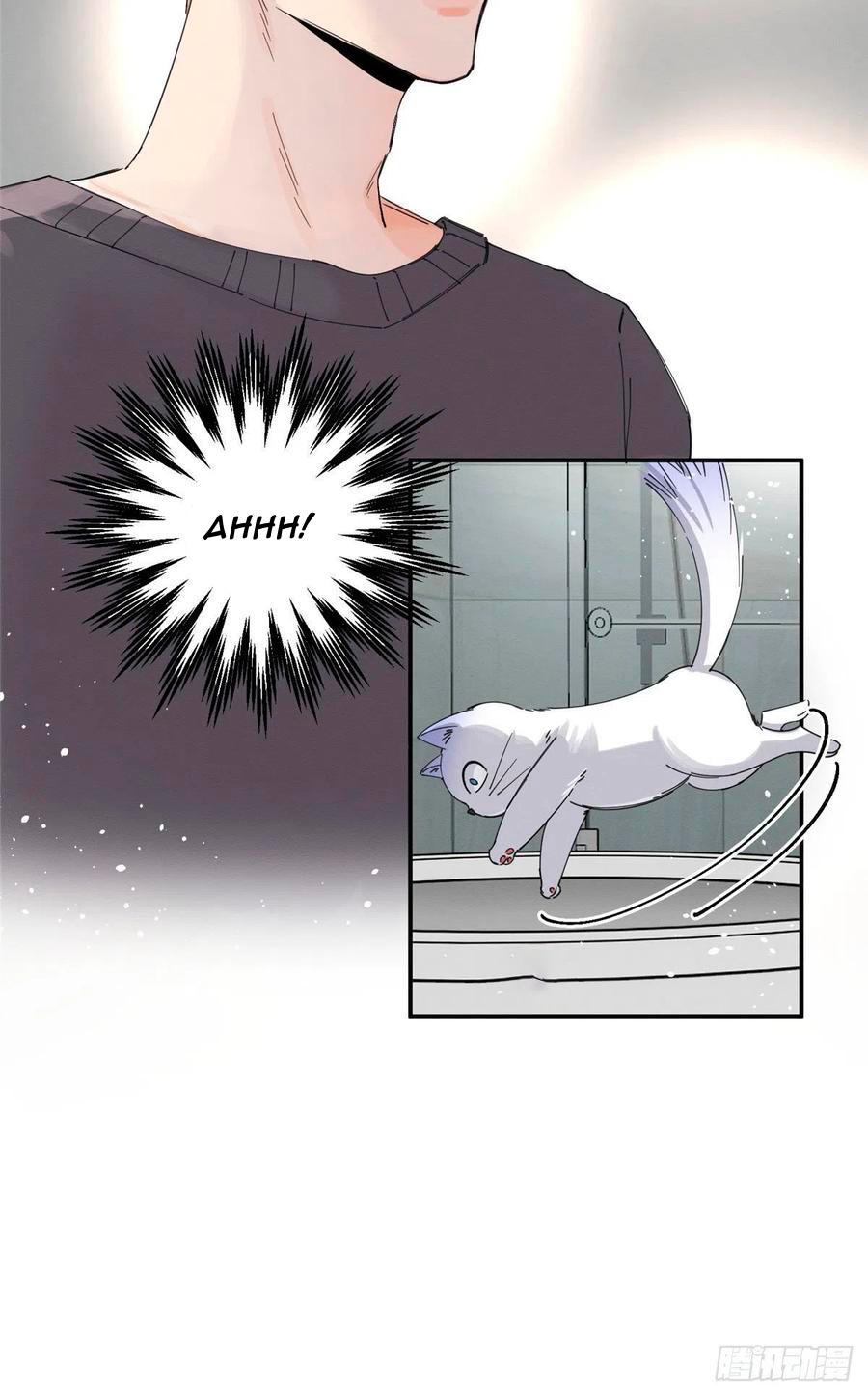 Tengo que trabajar duro para ser un gato hoy! - capitulo 7 manhwa