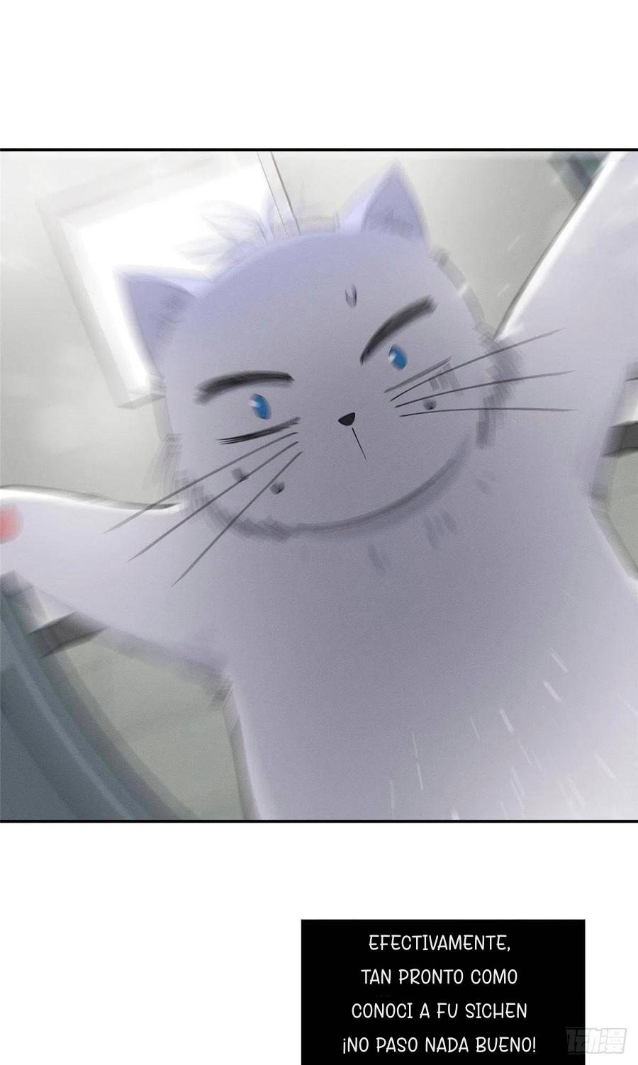 Tengo que trabajar duro para ser un gato hoy! - capitulo 7 manhwa