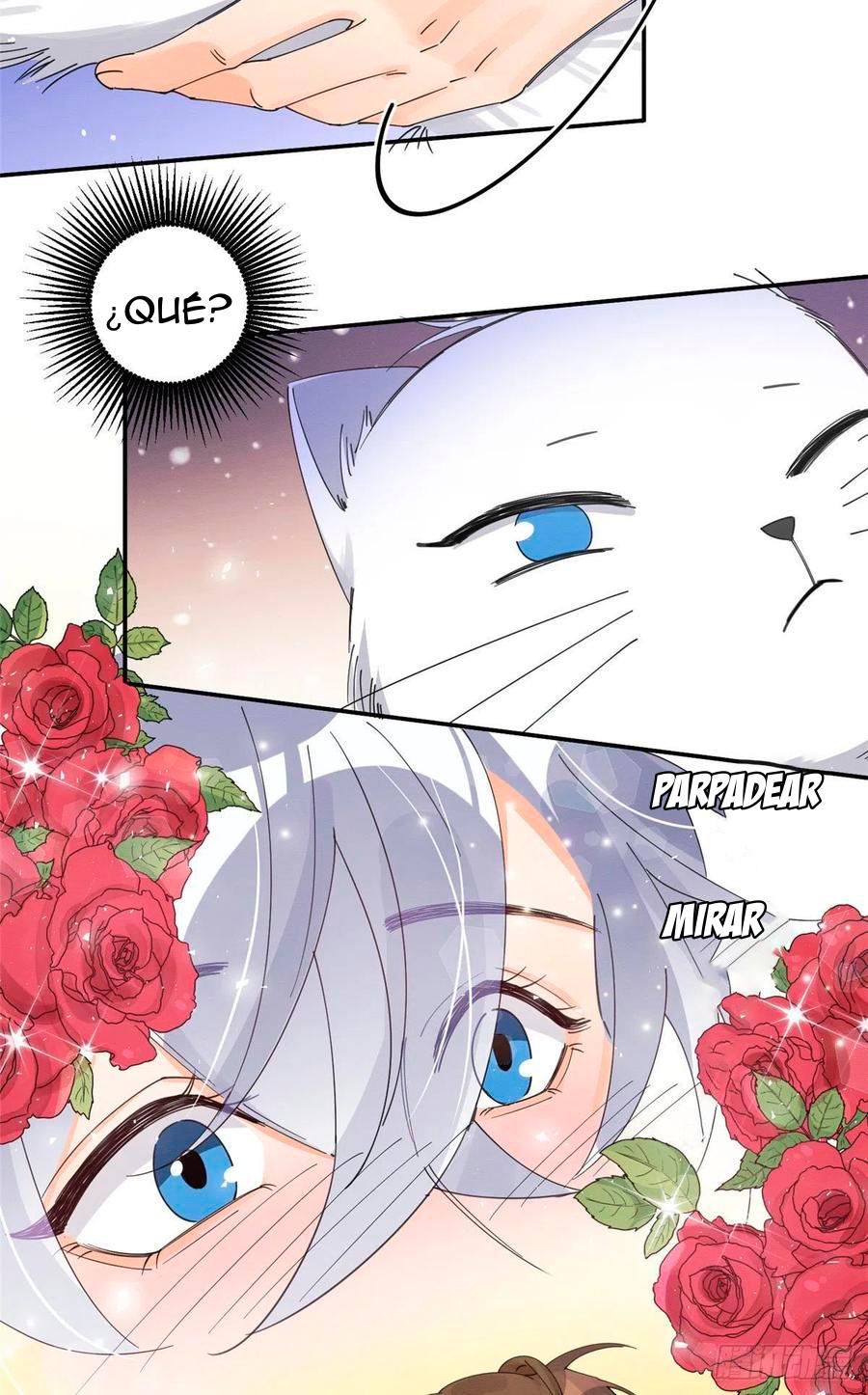 Tengo que trabajar duro para ser un gato hoy! - capitulo 7 manhwa