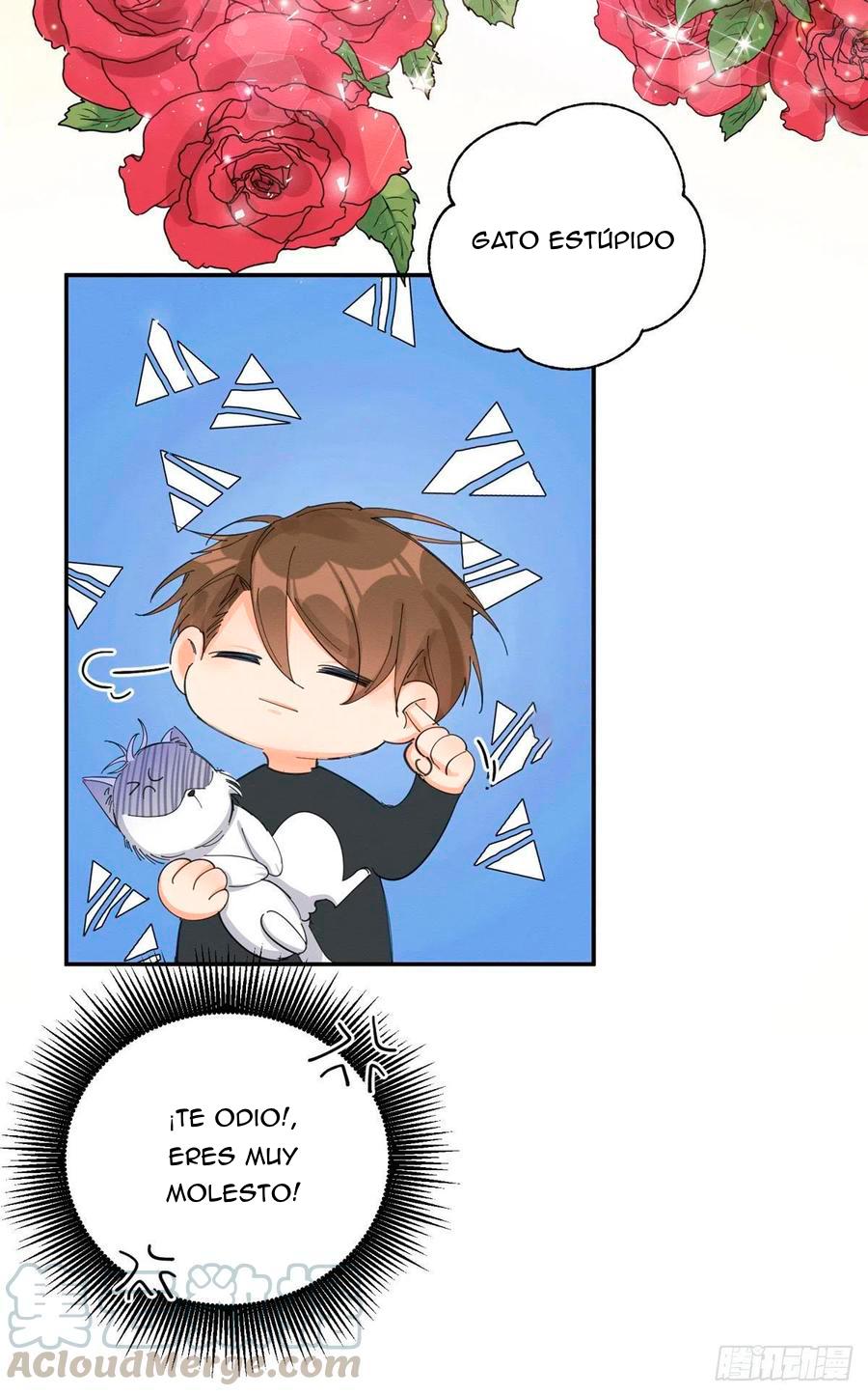 Tengo que trabajar duro para ser un gato hoy! - capitulo 7 manhwa