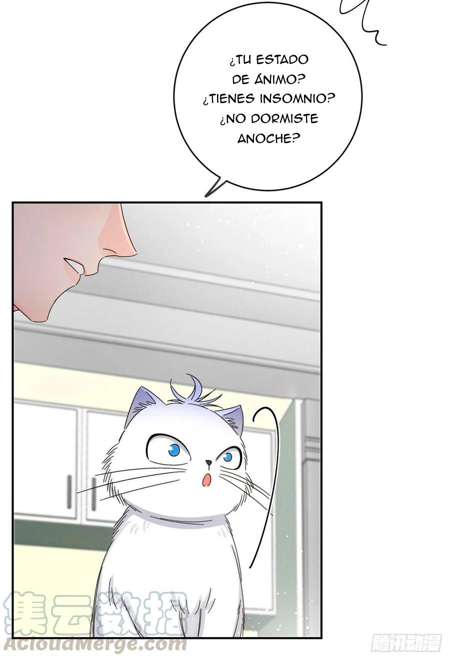 Tengo que trabajar duro para ser un gato hoy! - capitulo 7 manhwa