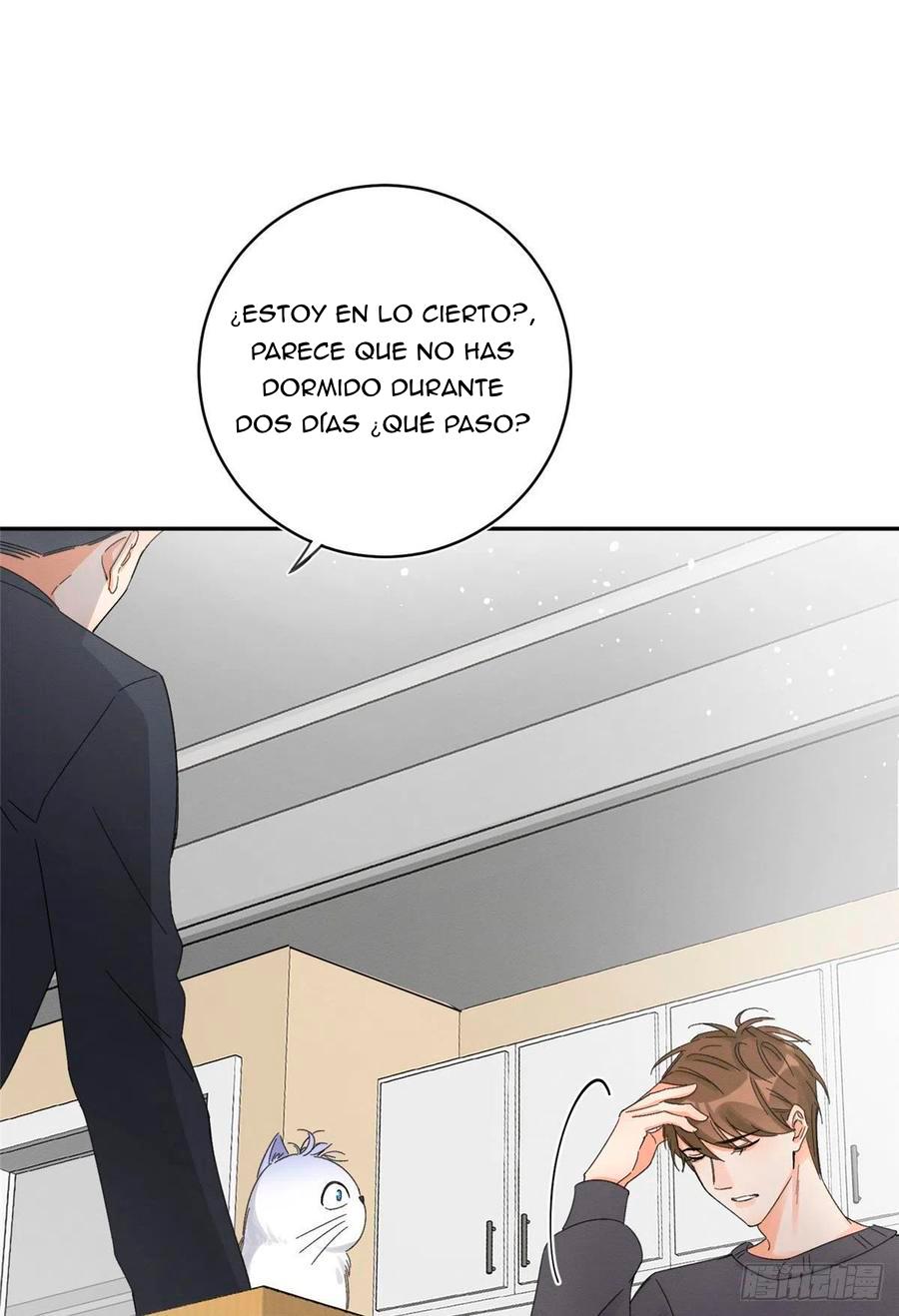 Tengo que trabajar duro para ser un gato hoy! - capitulo 7 manhwa