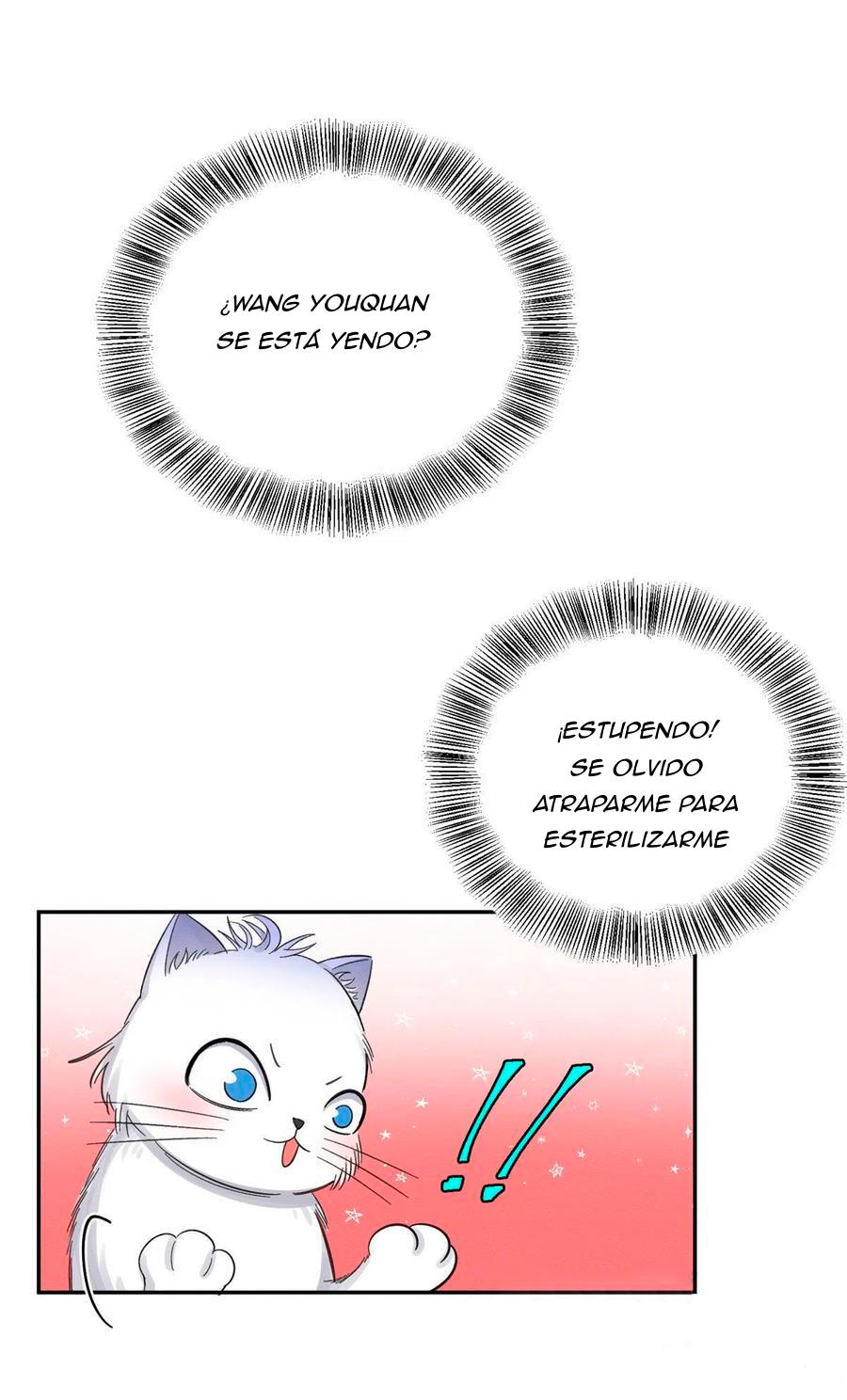 Tengo que trabajar duro para ser un gato hoy! - capitulo 7 manhwa