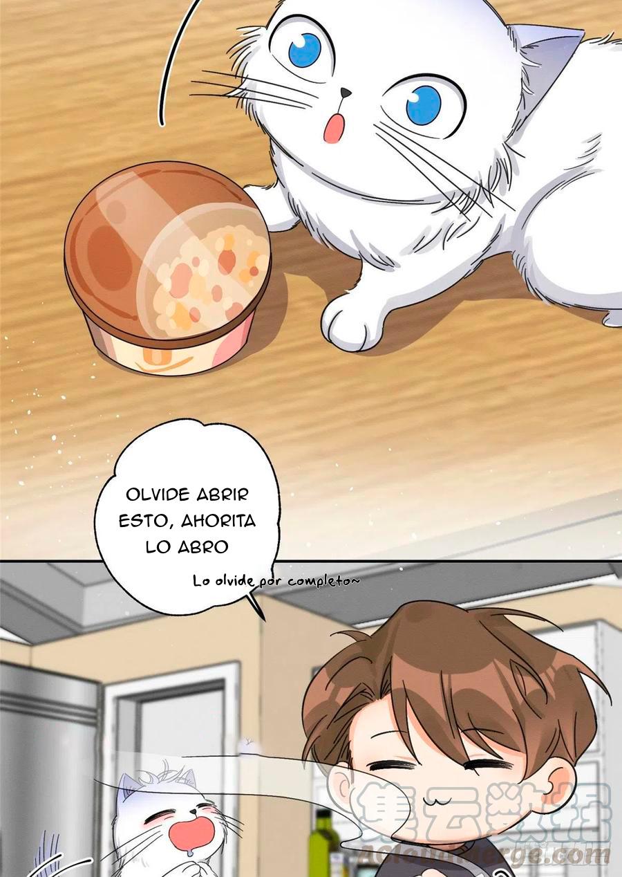 Tengo que trabajar duro para ser un gato hoy! - capitulo 7 manhwa