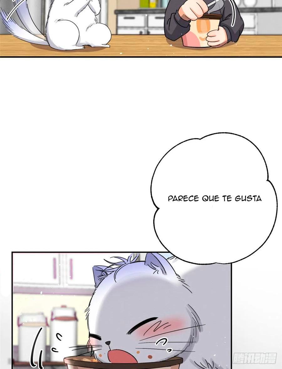 Tengo que trabajar duro para ser un gato hoy! - capitulo 7 manhwa