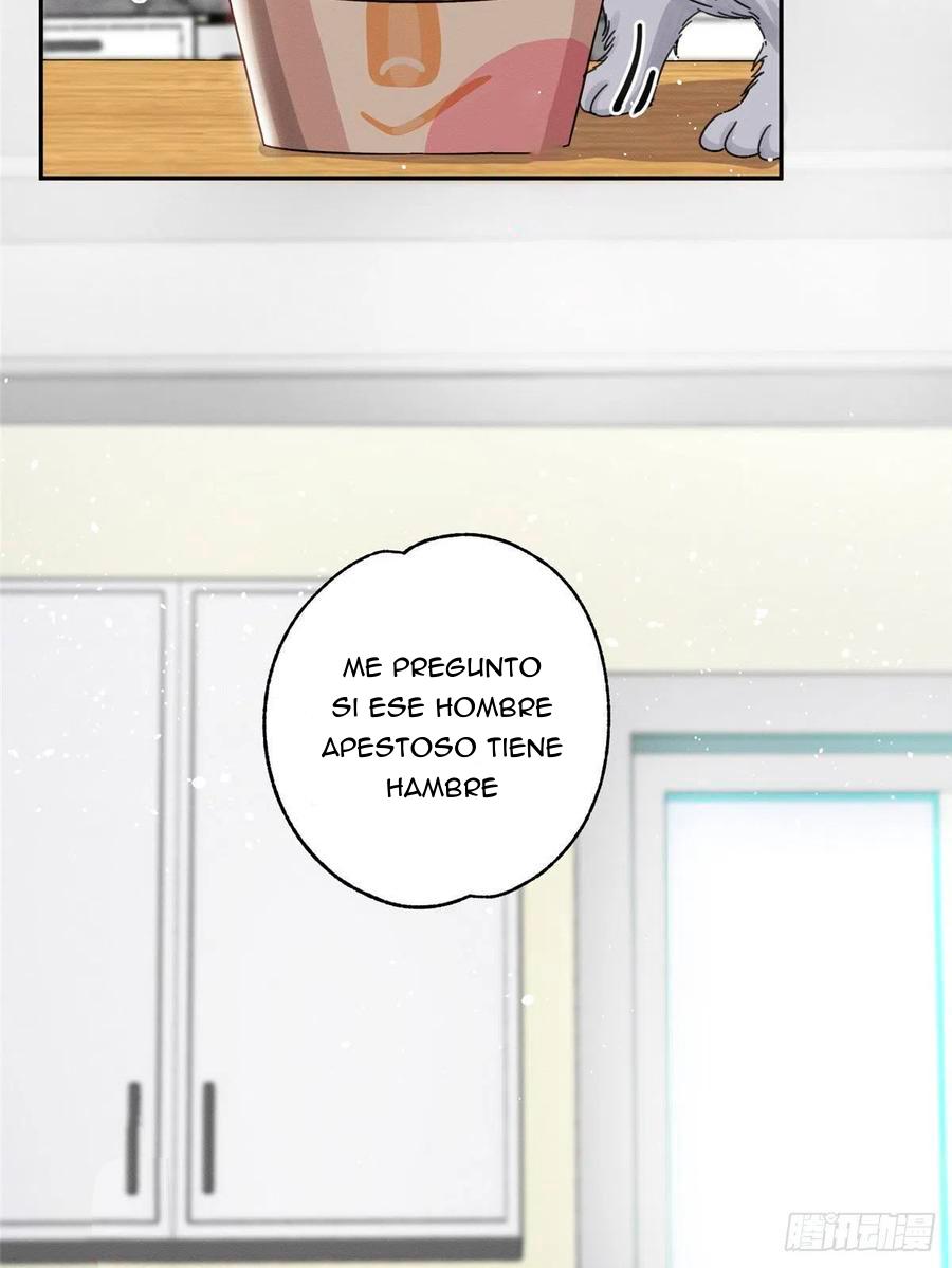 Tengo que trabajar duro para ser un gato hoy! - capitulo 7 manhwa