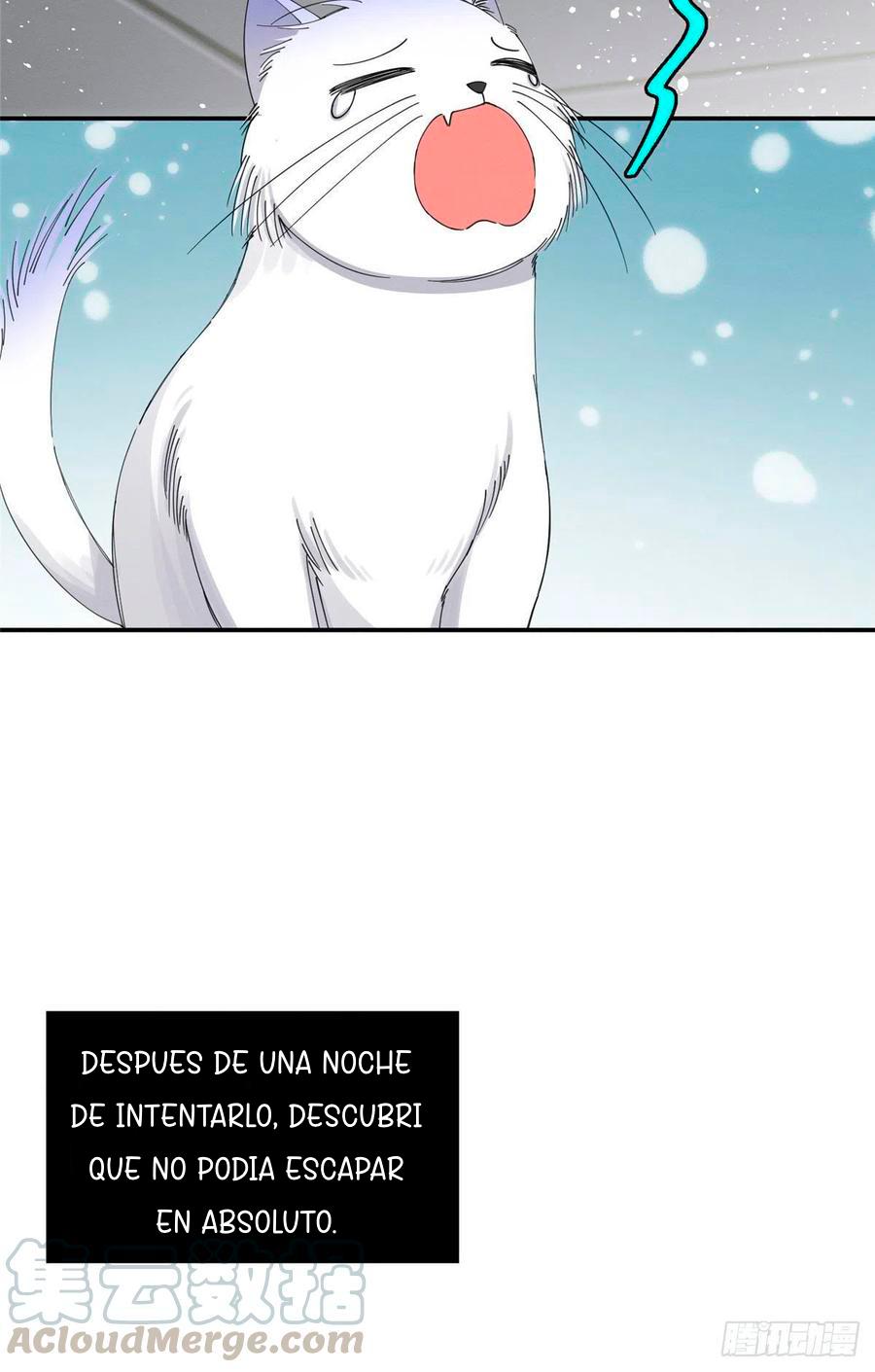 Tengo que trabajar duro para ser un gato hoy! - capitulo 7 manhwa