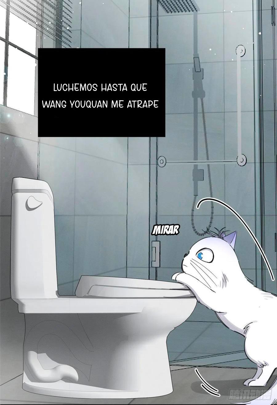 Tengo que trabajar duro para ser un gato hoy! - capitulo 7 manhwa