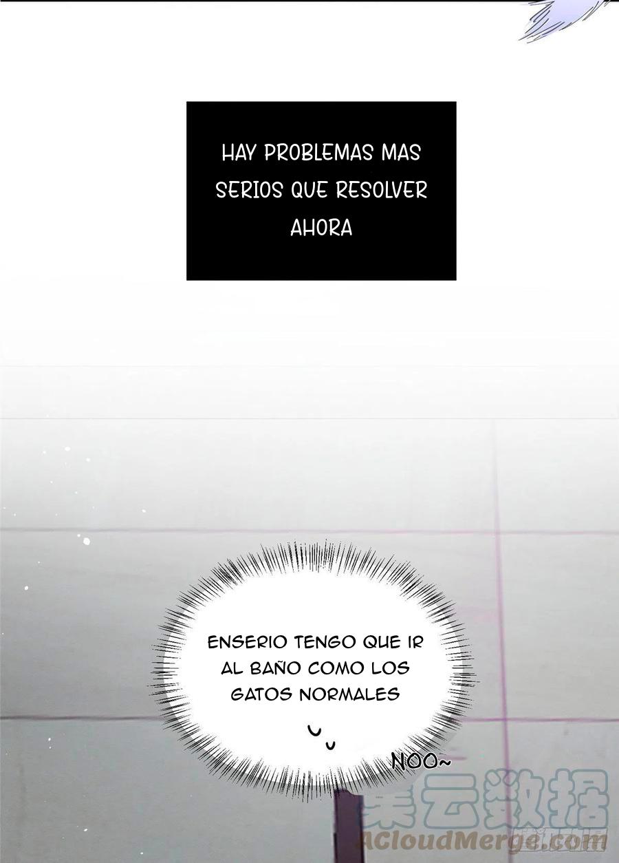 Tengo que trabajar duro para ser un gato hoy! - capitulo 7 manhwa
