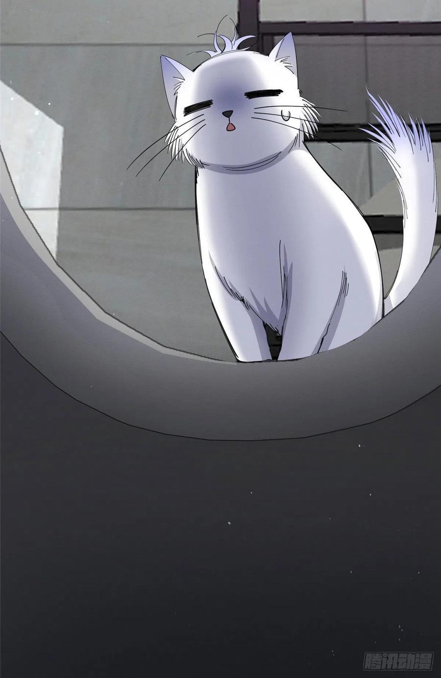 Tengo que trabajar duro para ser un gato hoy! - capitulo 7 manhwa