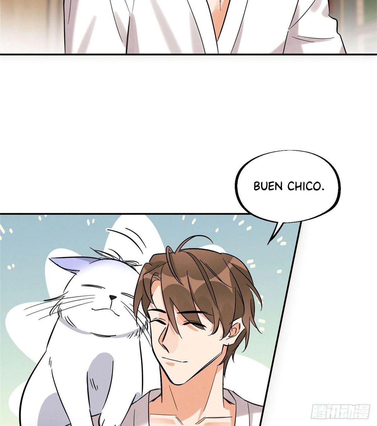 Tengo que trabajar duro para ser un gato hoy! - capitulo 29 manhwa