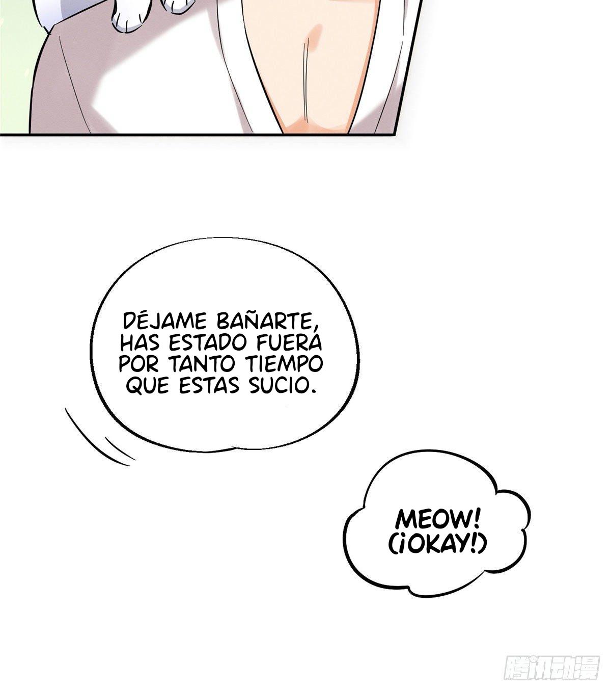 Tengo que trabajar duro para ser un gato hoy! - capitulo 29 manhwa