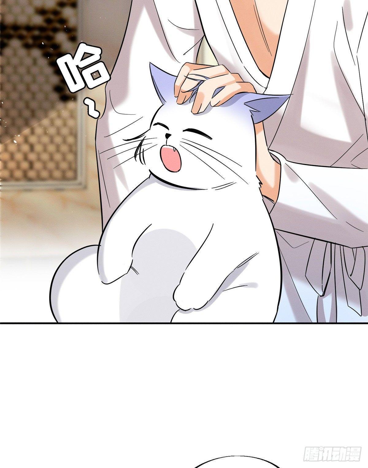 Tengo que trabajar duro para ser un gato hoy! - capitulo 29 manhwa