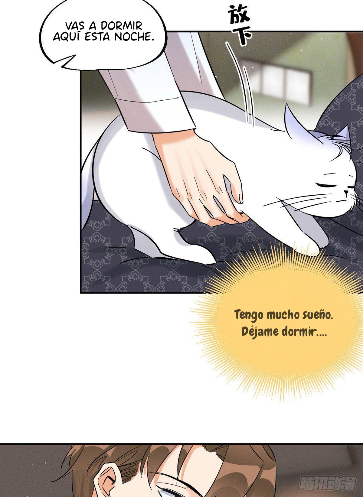 Tengo que trabajar duro para ser un gato hoy! - capitulo 29 manhwa